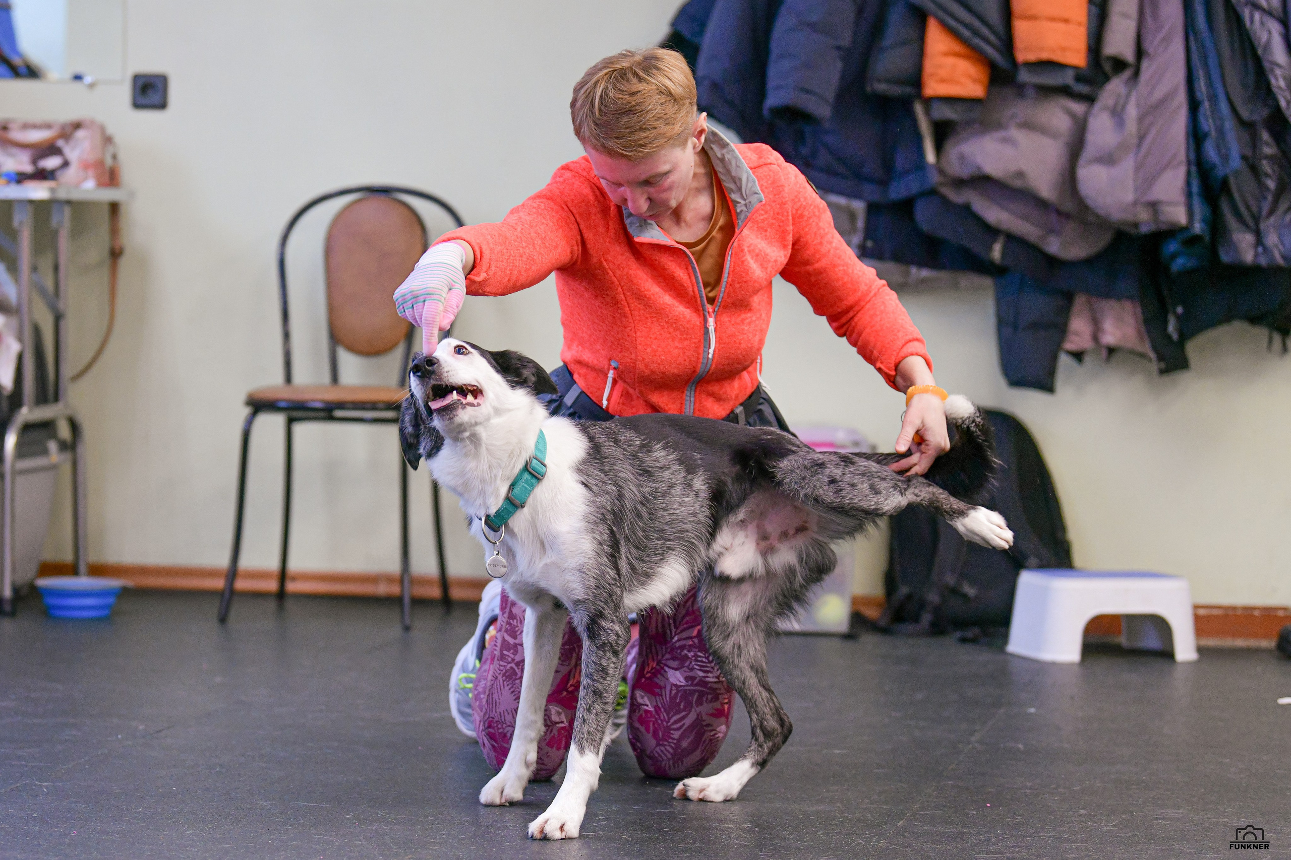 Кинологический клуб «Бодрый хвост». Свой взгляд через объектив