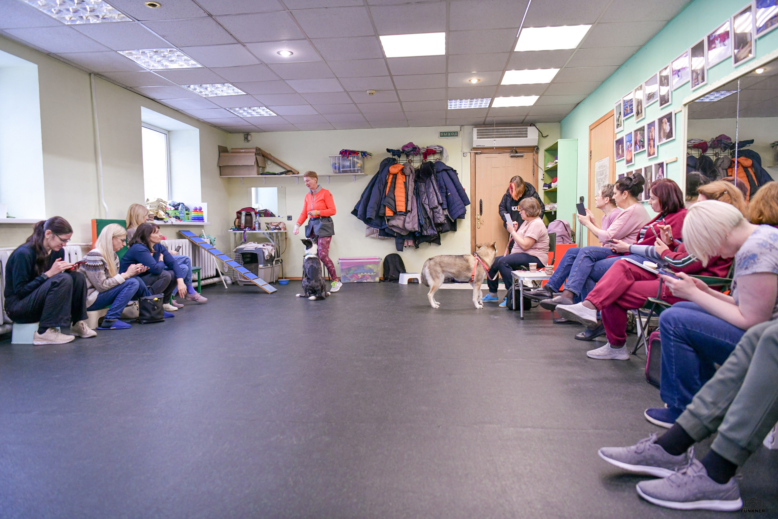 Кинологический клуб «Бодрый хвост». Свой взгляд через объектив