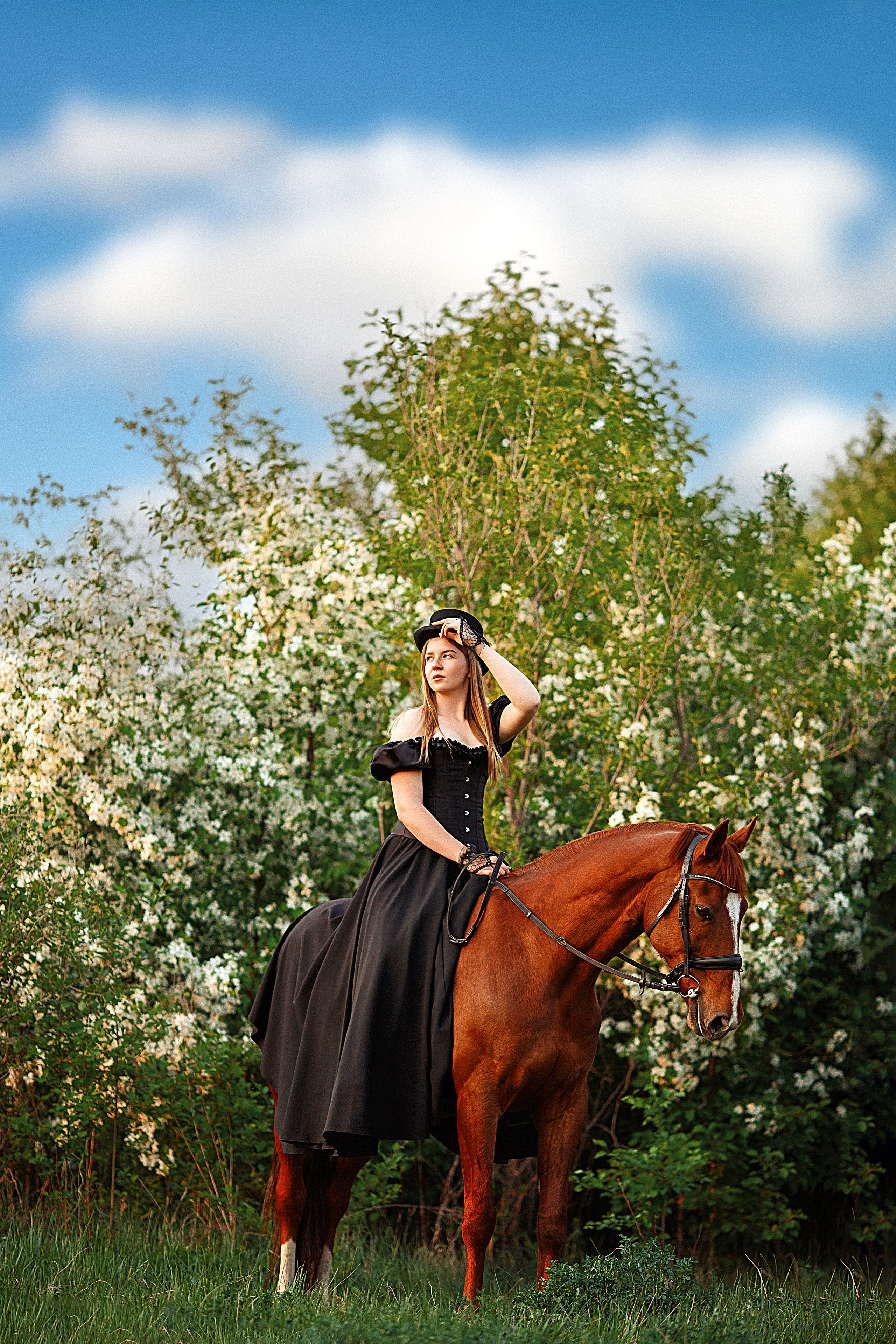Конный фотограф в Санкт-Петербурге-Мария Балабанова