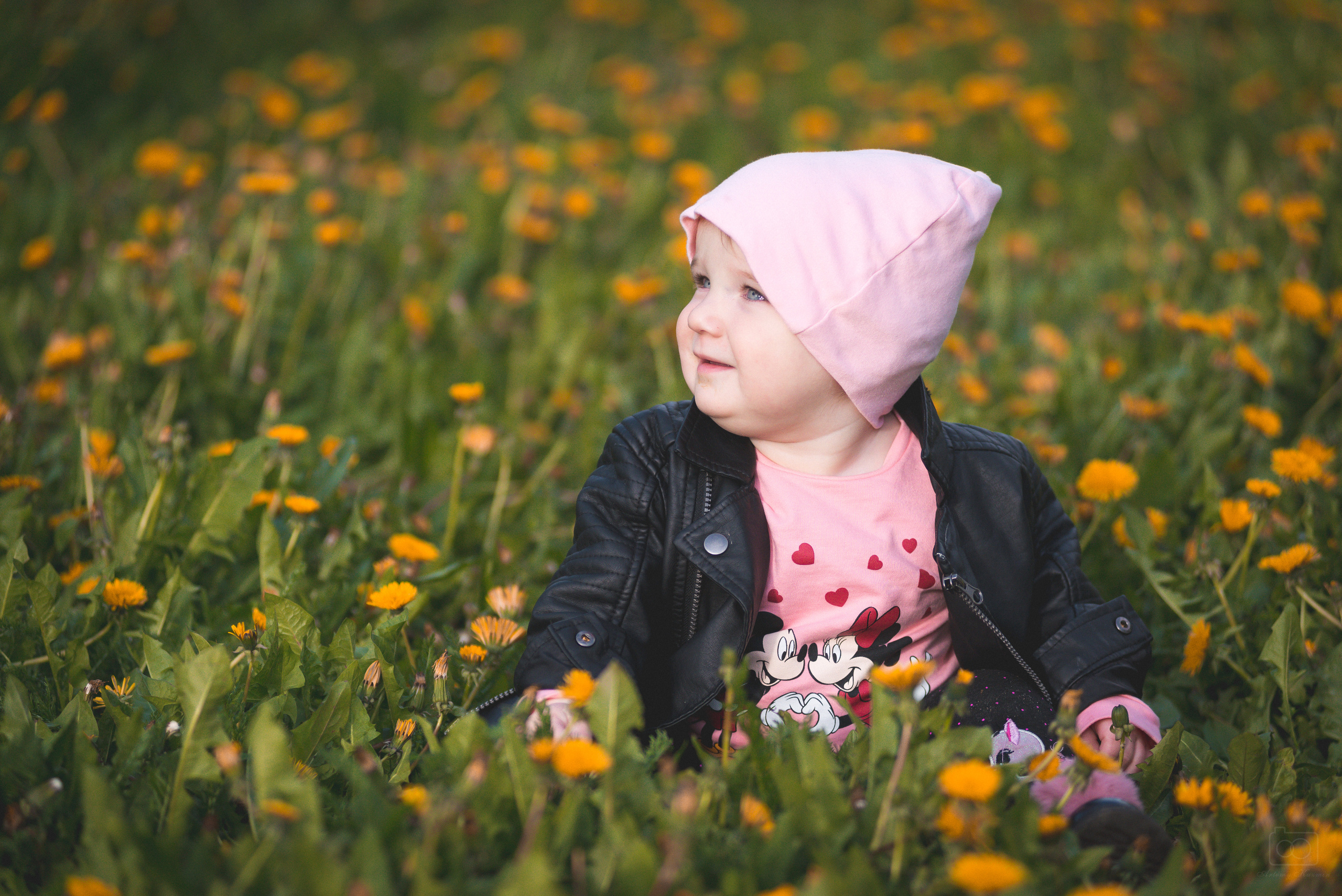 Семейная. Фотограф