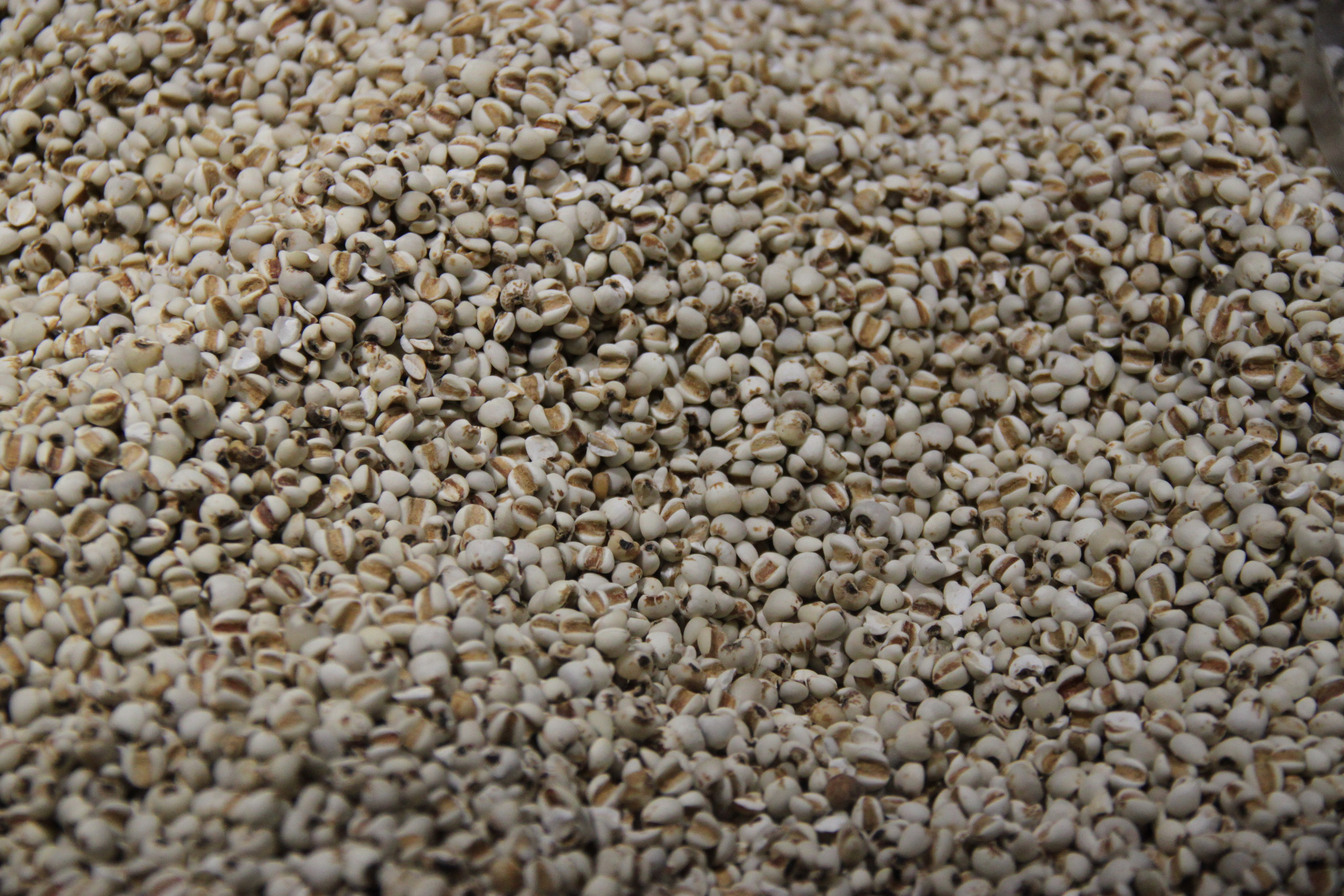 Shanghai, China. Andrey Filippov Photographer