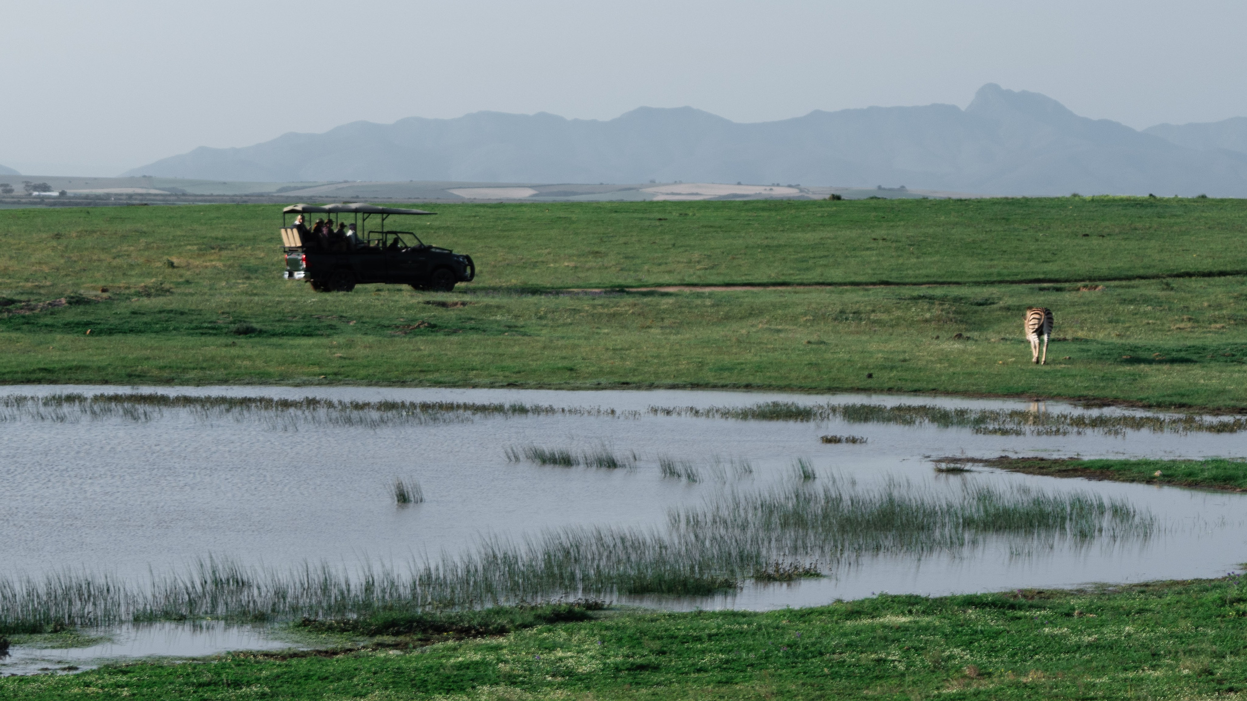 Africa/UAR. @oljiofilm: Олег Иванов — фотограф