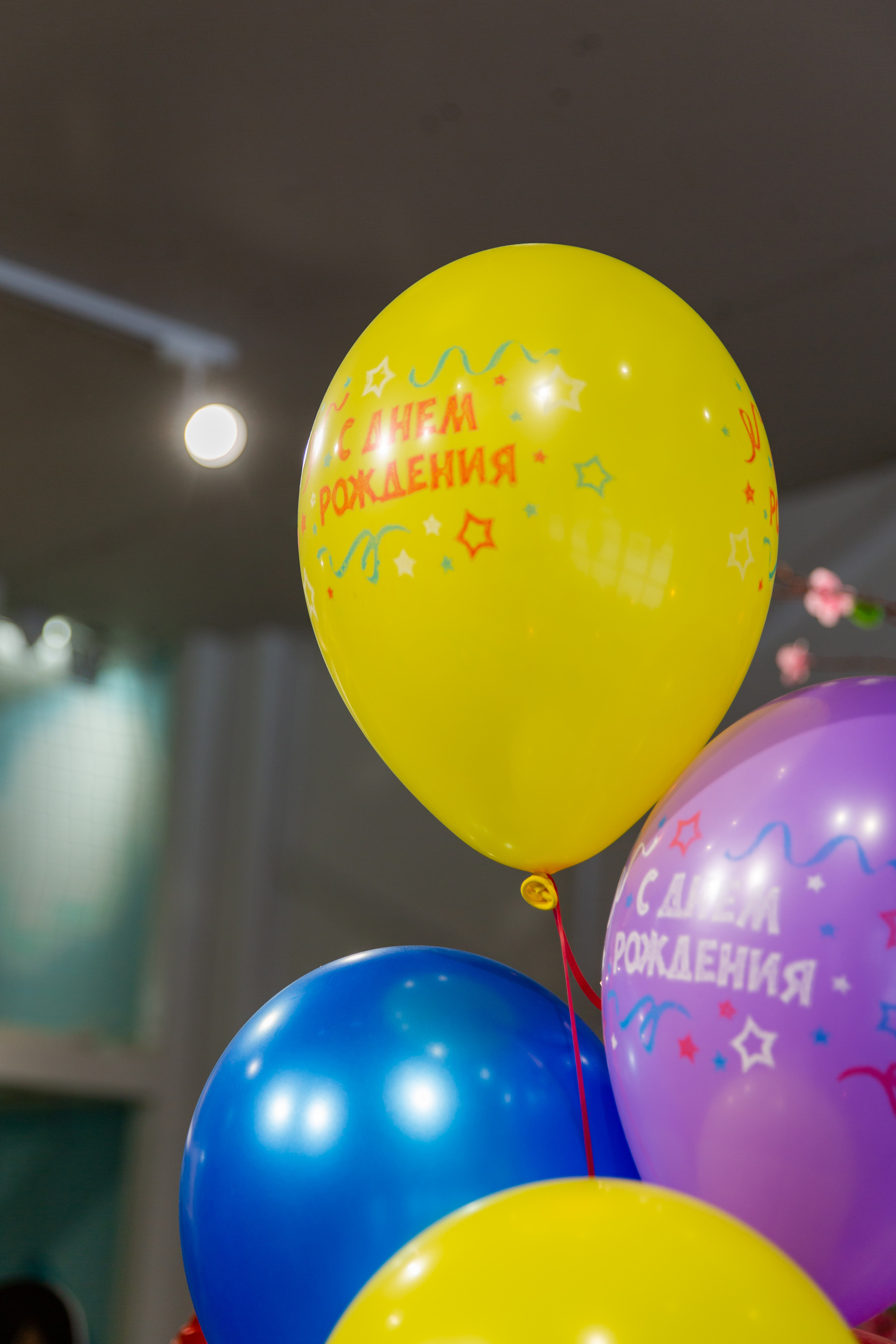 День рождения Этель. 28.02.2021. Семейные и детские съемки в Уфе