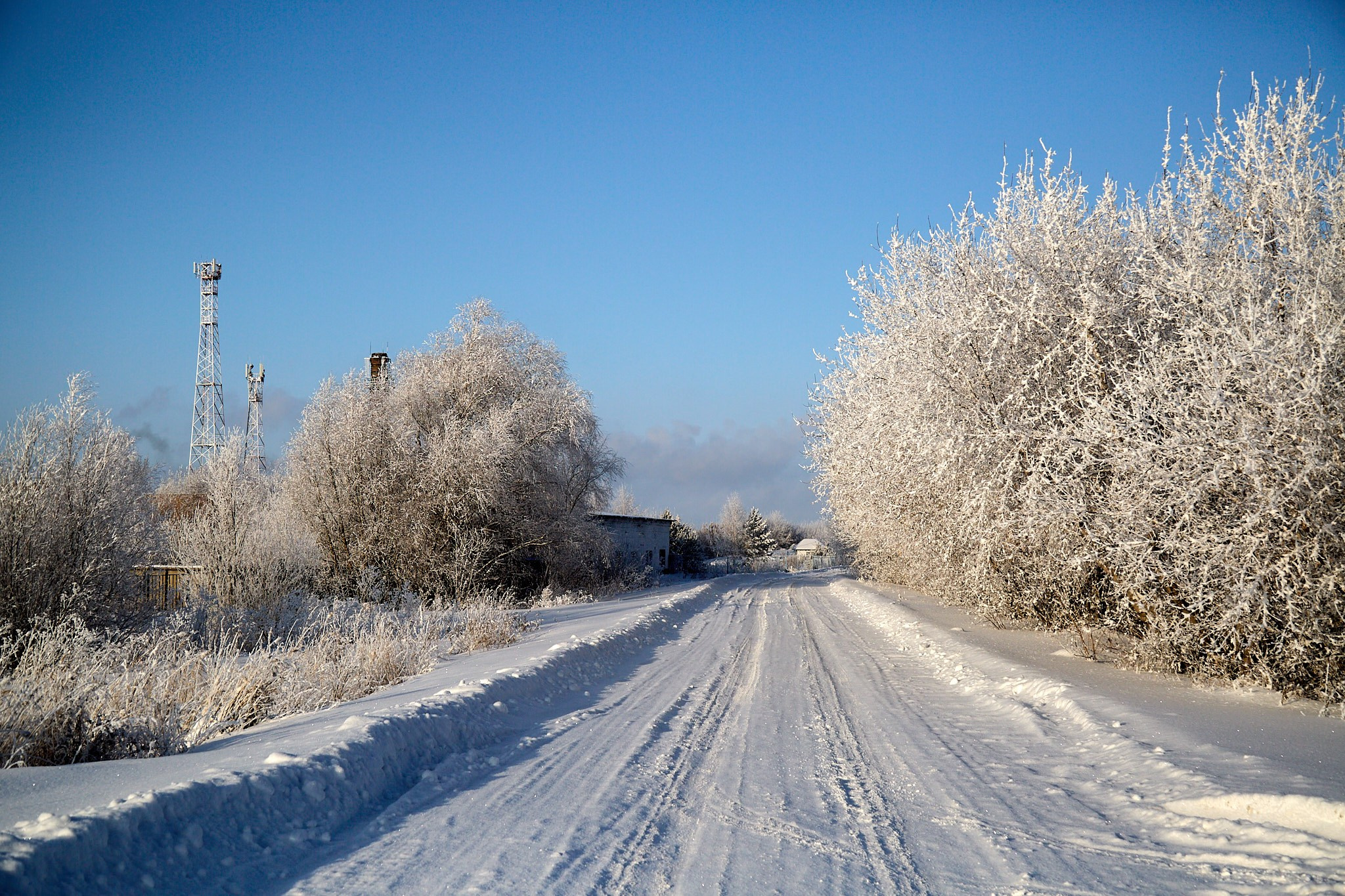 Предновогодняя сказка. Фотограф Омск | Александр Вандеров