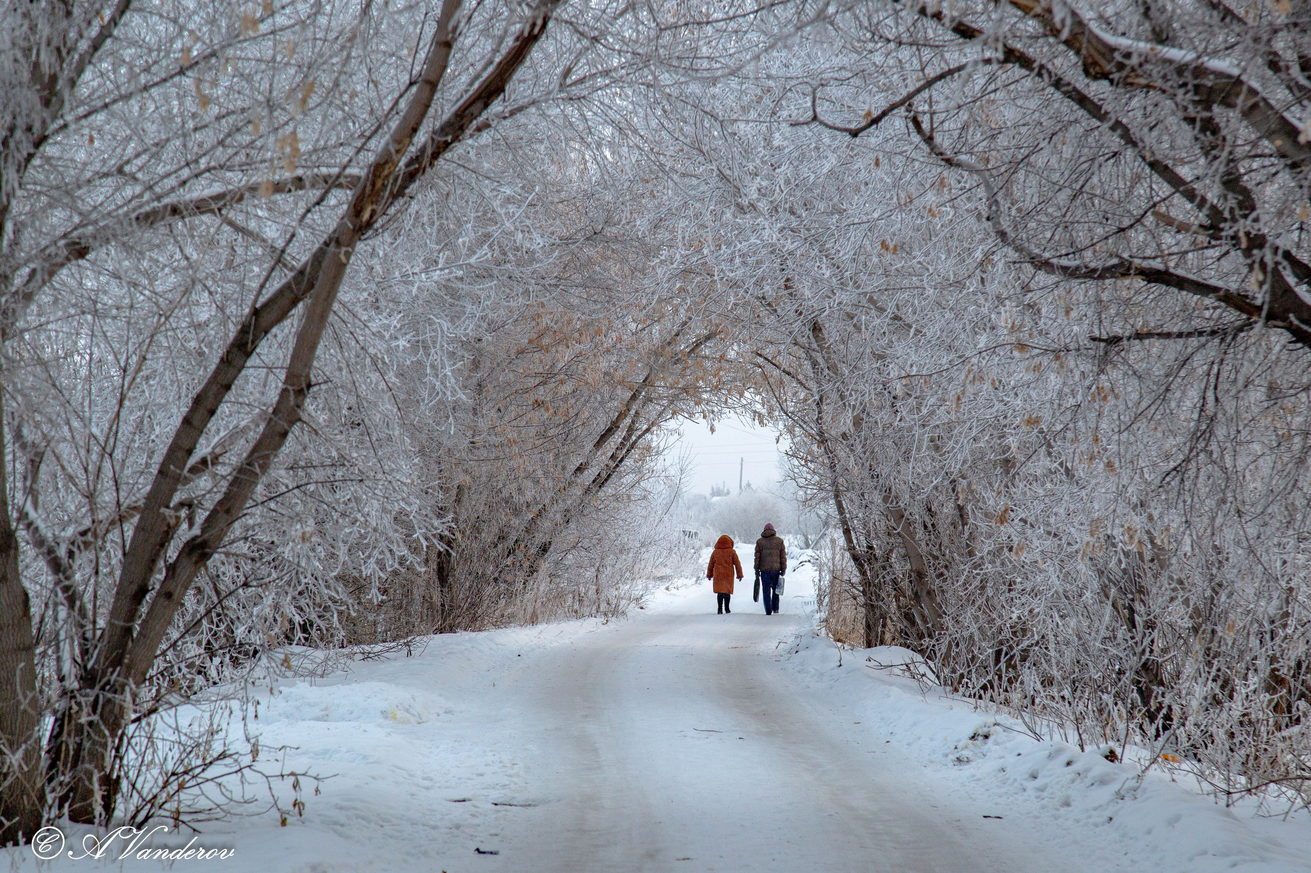 Красота природы. Фотограф Омск | Александр Вандеров