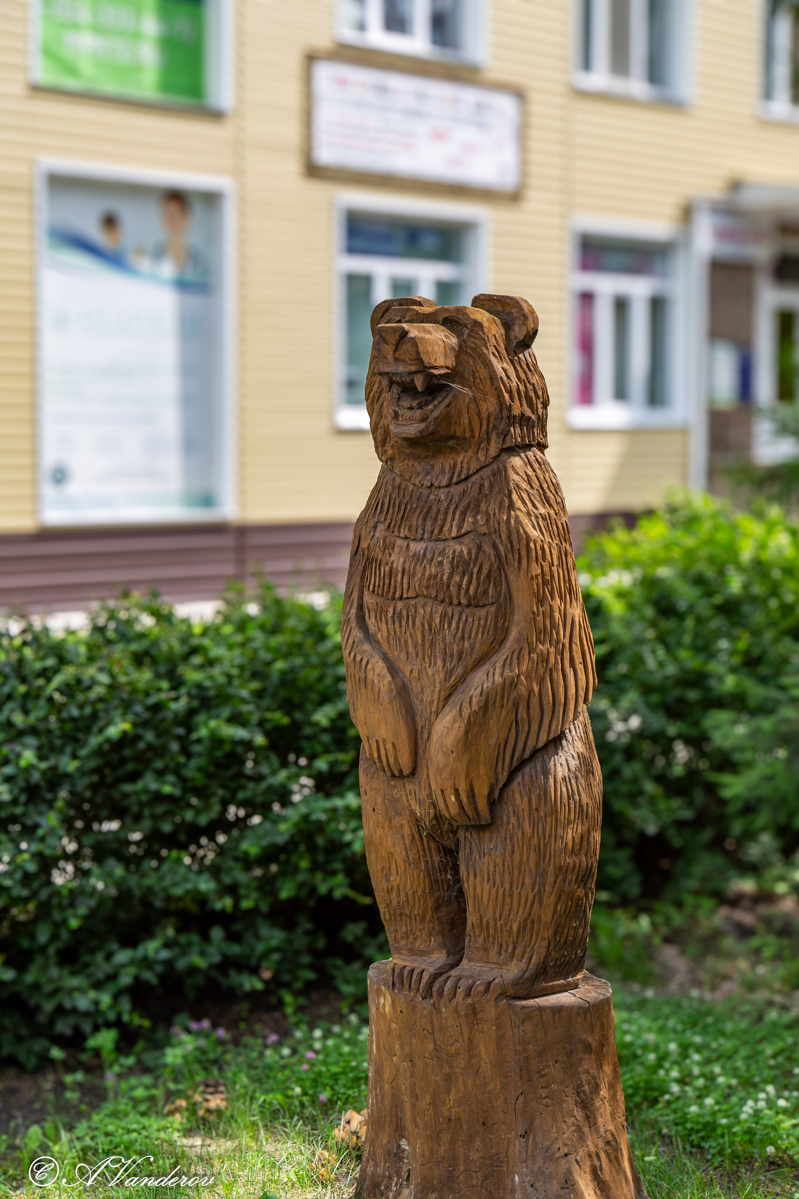 Калачинск 07.07.2024. Фотограф Омск | Александр Вандеров