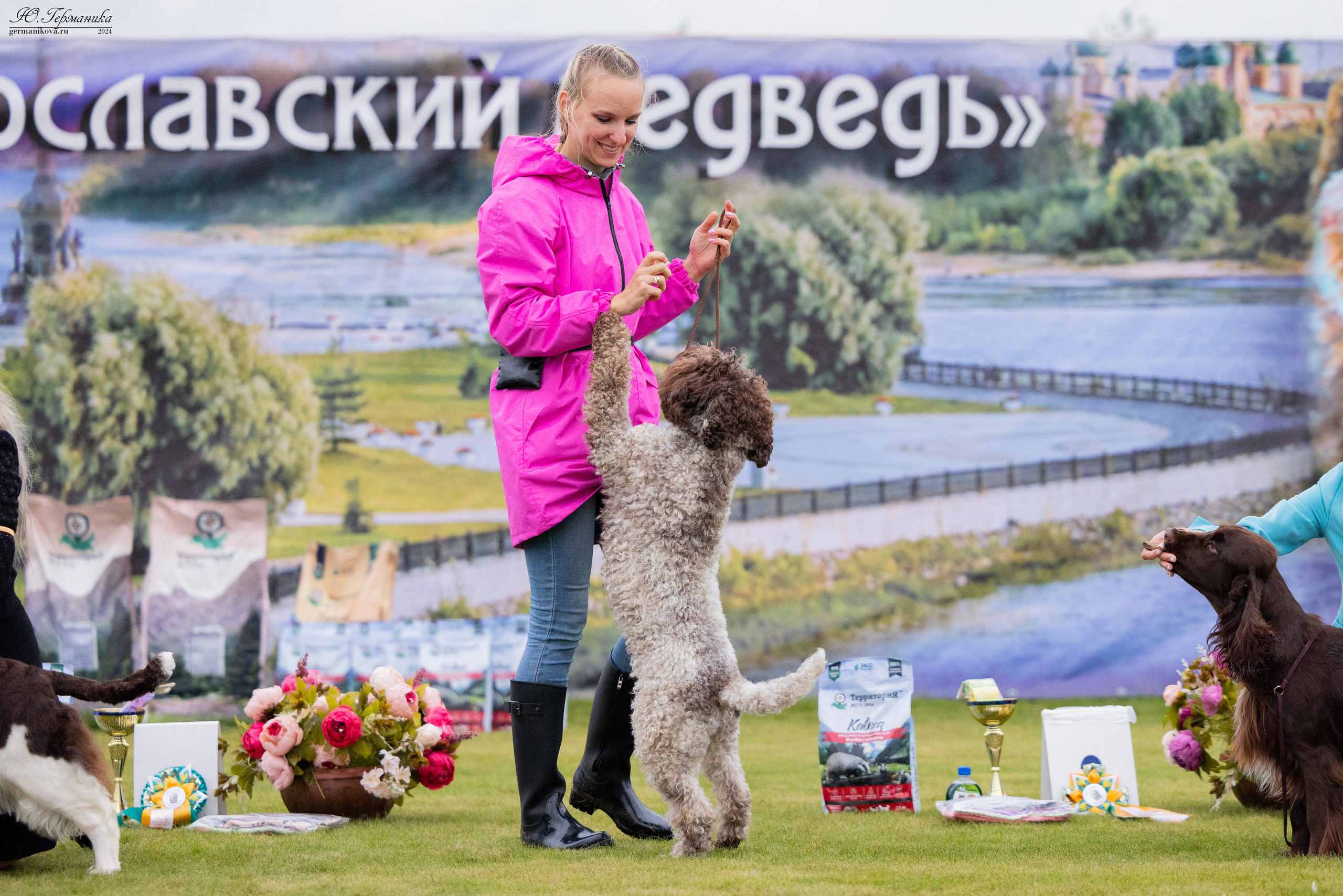 Ярославль 21.07.24 и Балашиха 13.07.24. Фотограф-анималист Юлия Германика
