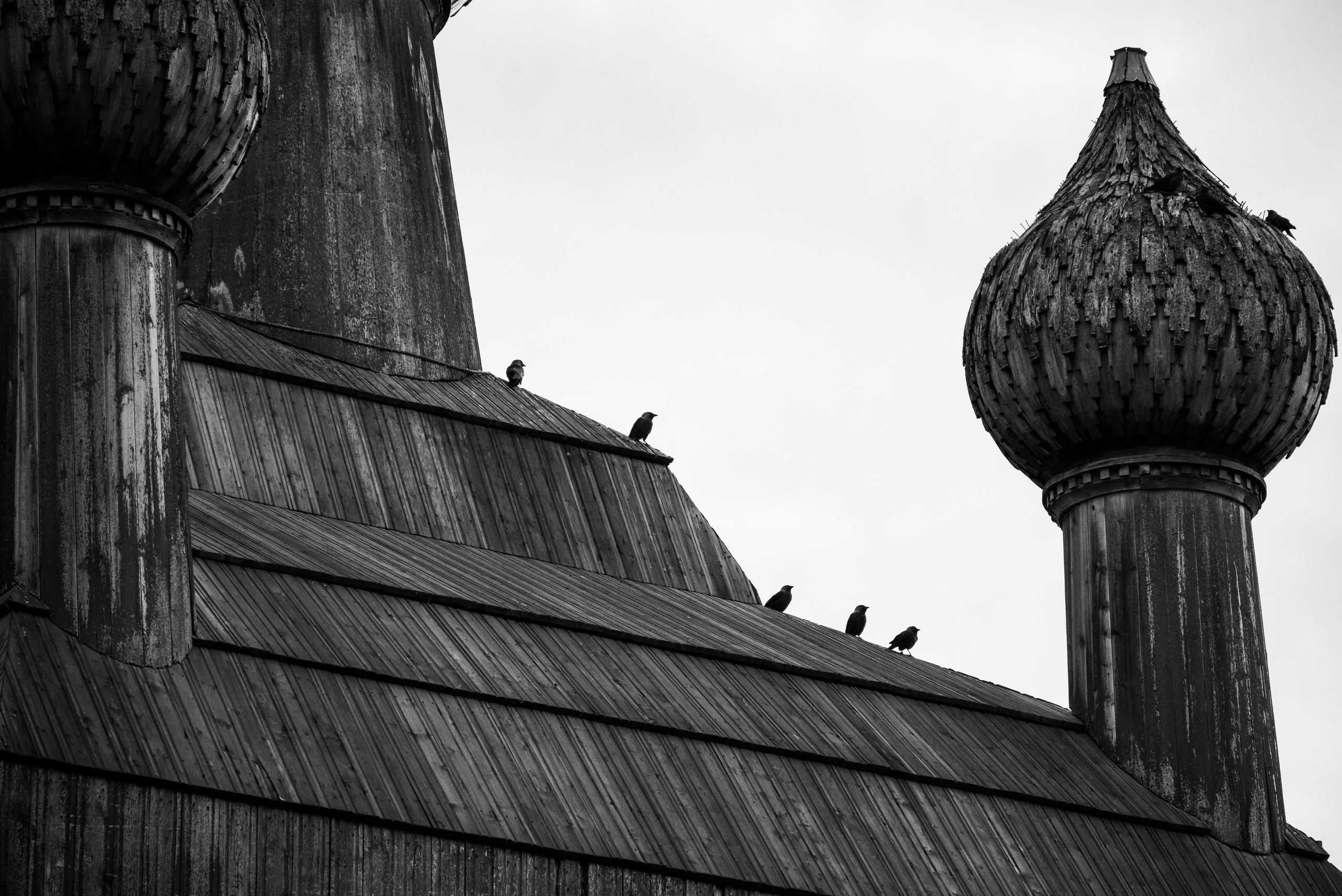 Деревня / Север II. Фотограф Антон Денисенко: Портрет, Документалистика, Пейзаж. Москва