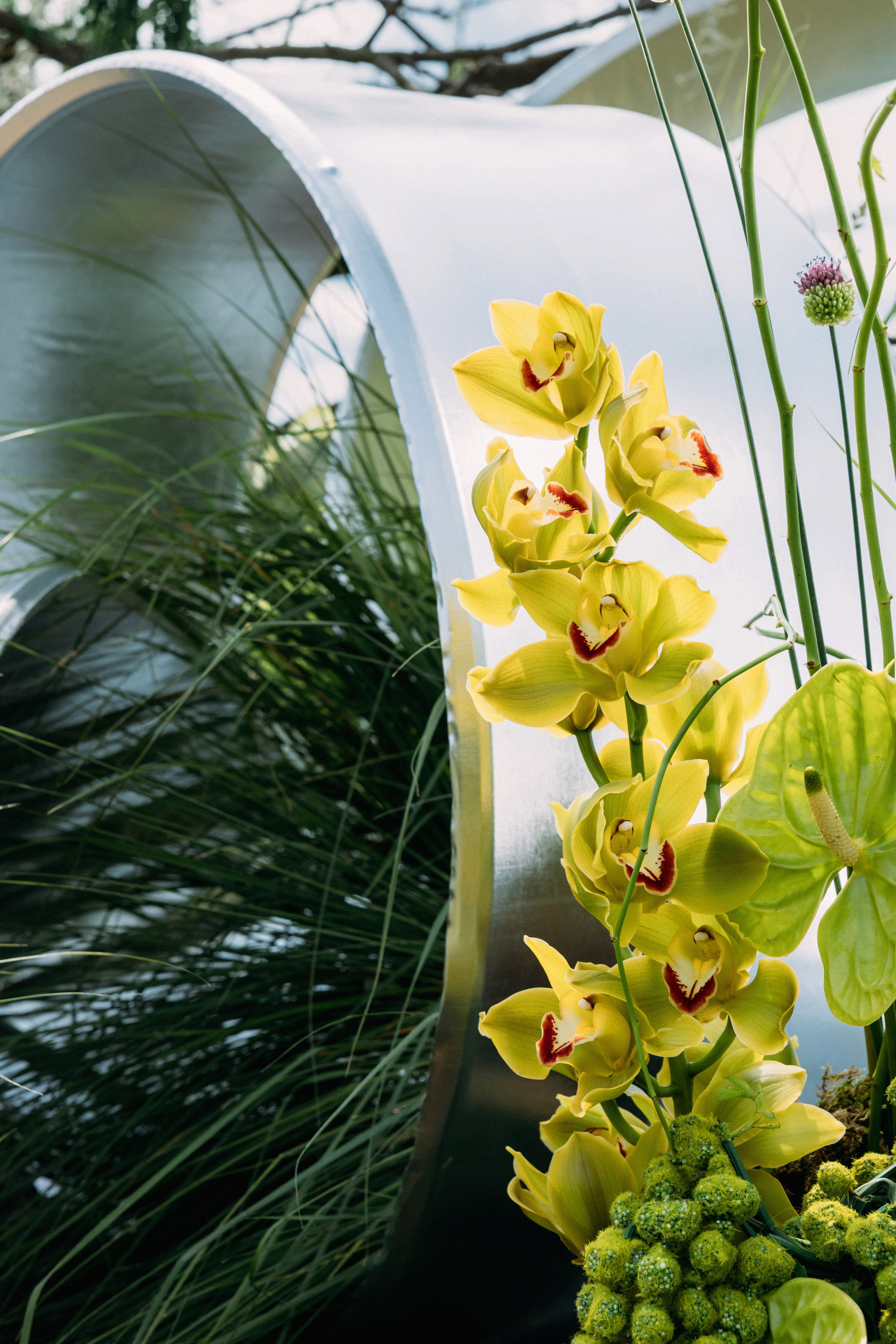 @avtors.agency. Свадебный и репортажный фотограф в Москве Владимир Сергеев | Naysaikolo