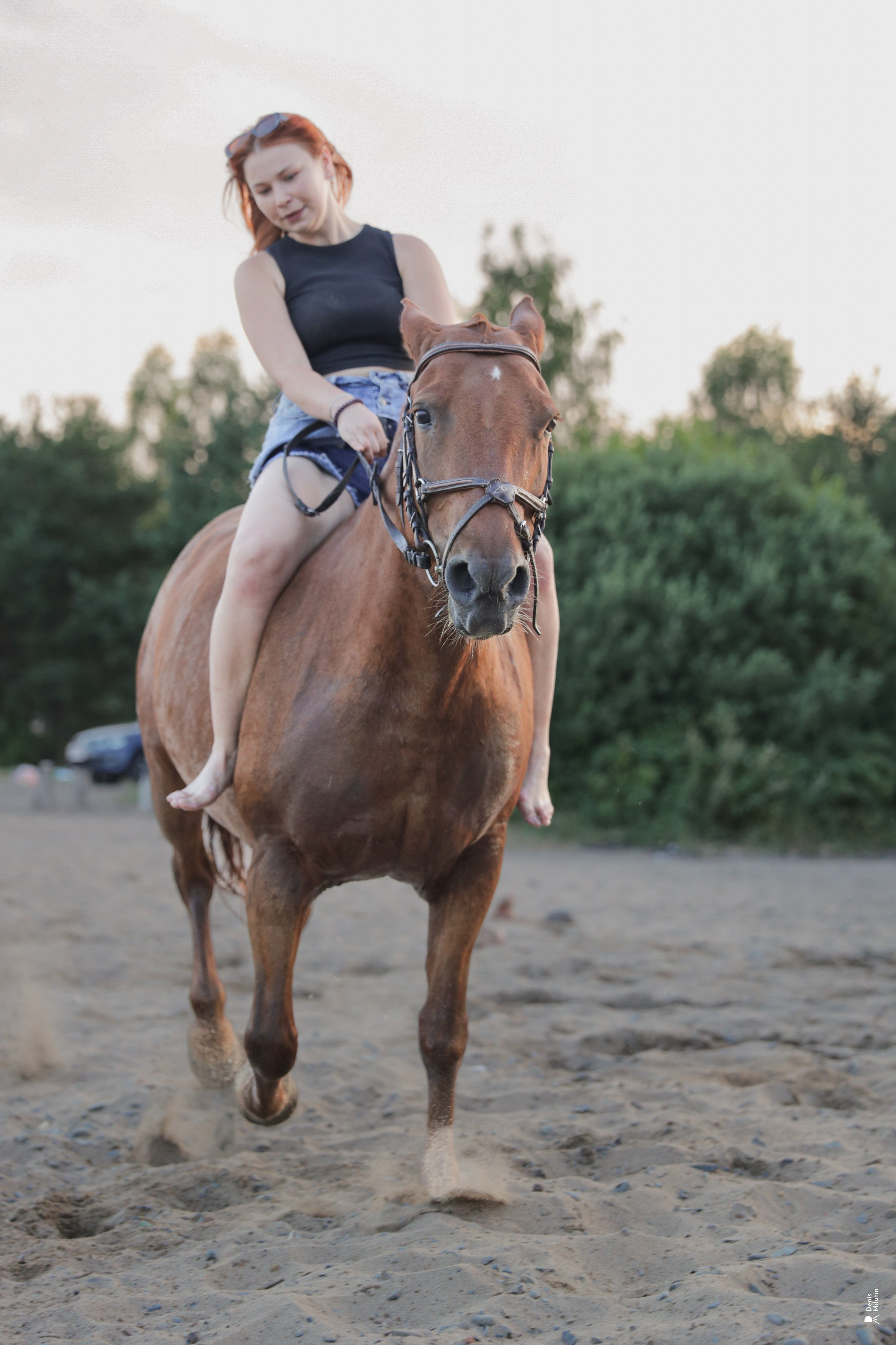 Фото с лошадьми. Портретный фотограф Денис Милютин