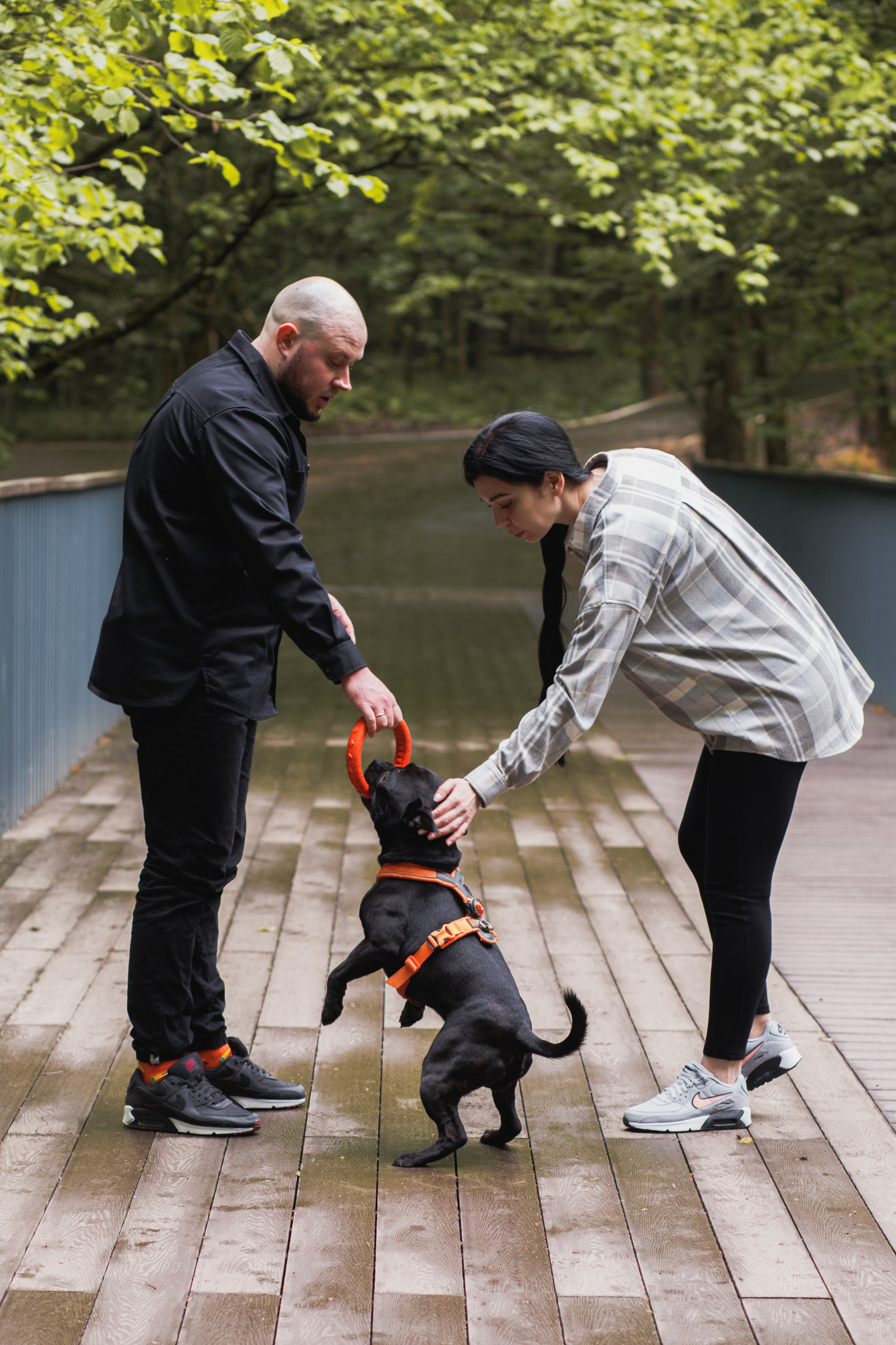 Фотопрогулка большой семьи с двумя собаками летом. Семейный и школьный фотограф в Москве Анна Ткач