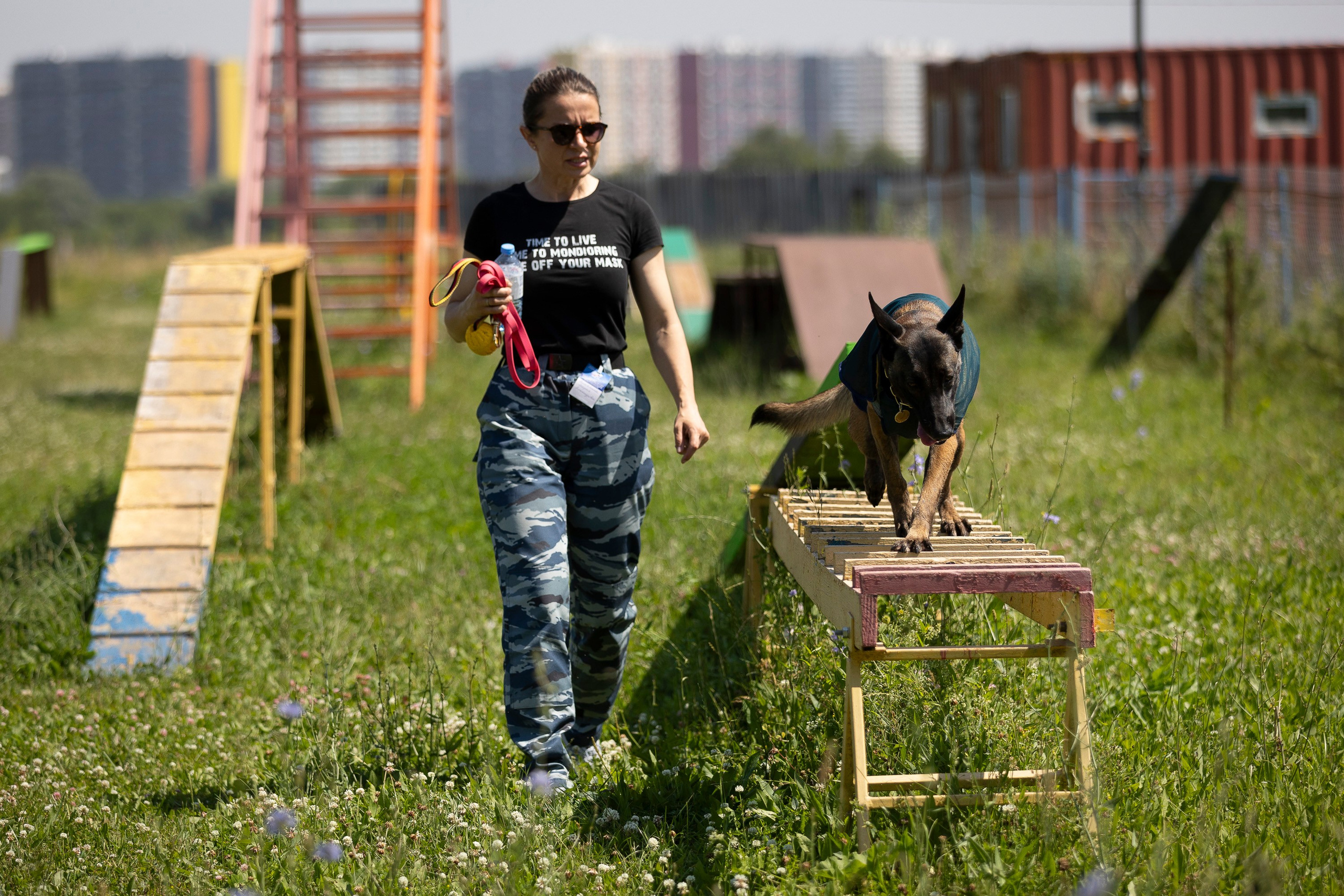Семинар по поиску ВВ. Фотограф анималист, семейный фотограф, фотограф собак Комратова Мария. г. Москва