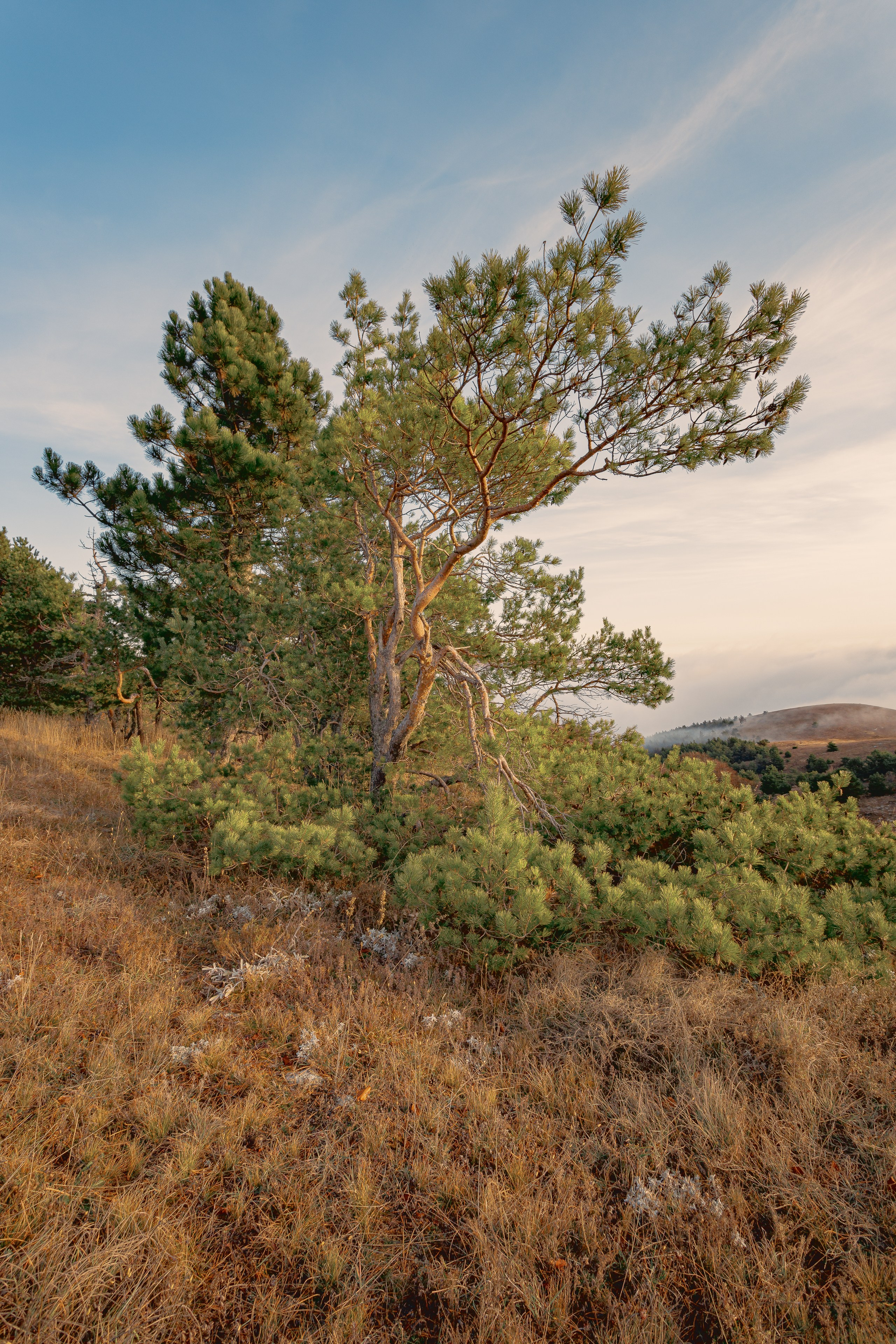 Пейзажная фотография. Фотошкола ArtFotoLife для начинающих и продвинутых фотографов
