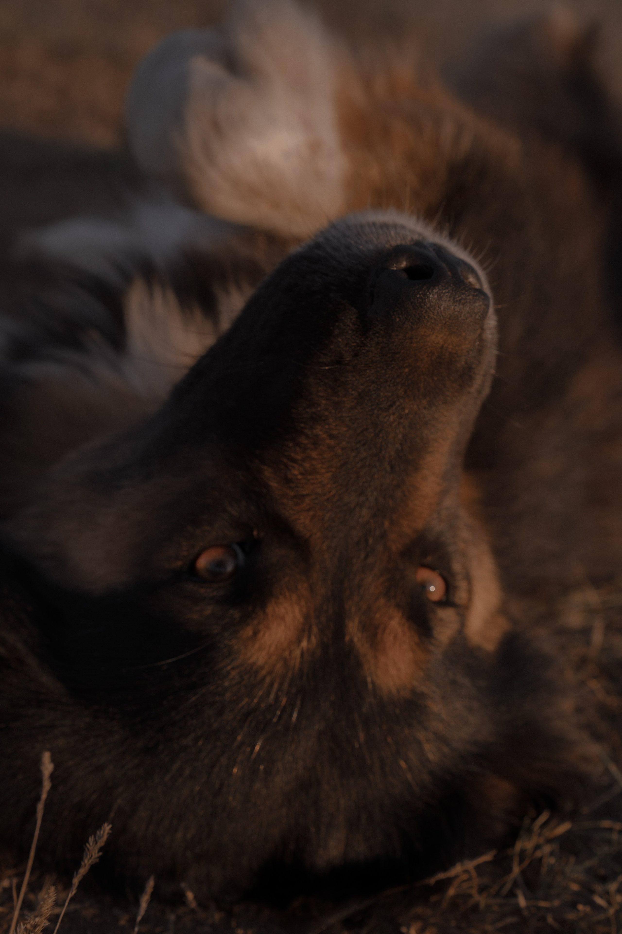 Калмыкия I Май 2024. Commercial photographer Natalia Bychkova