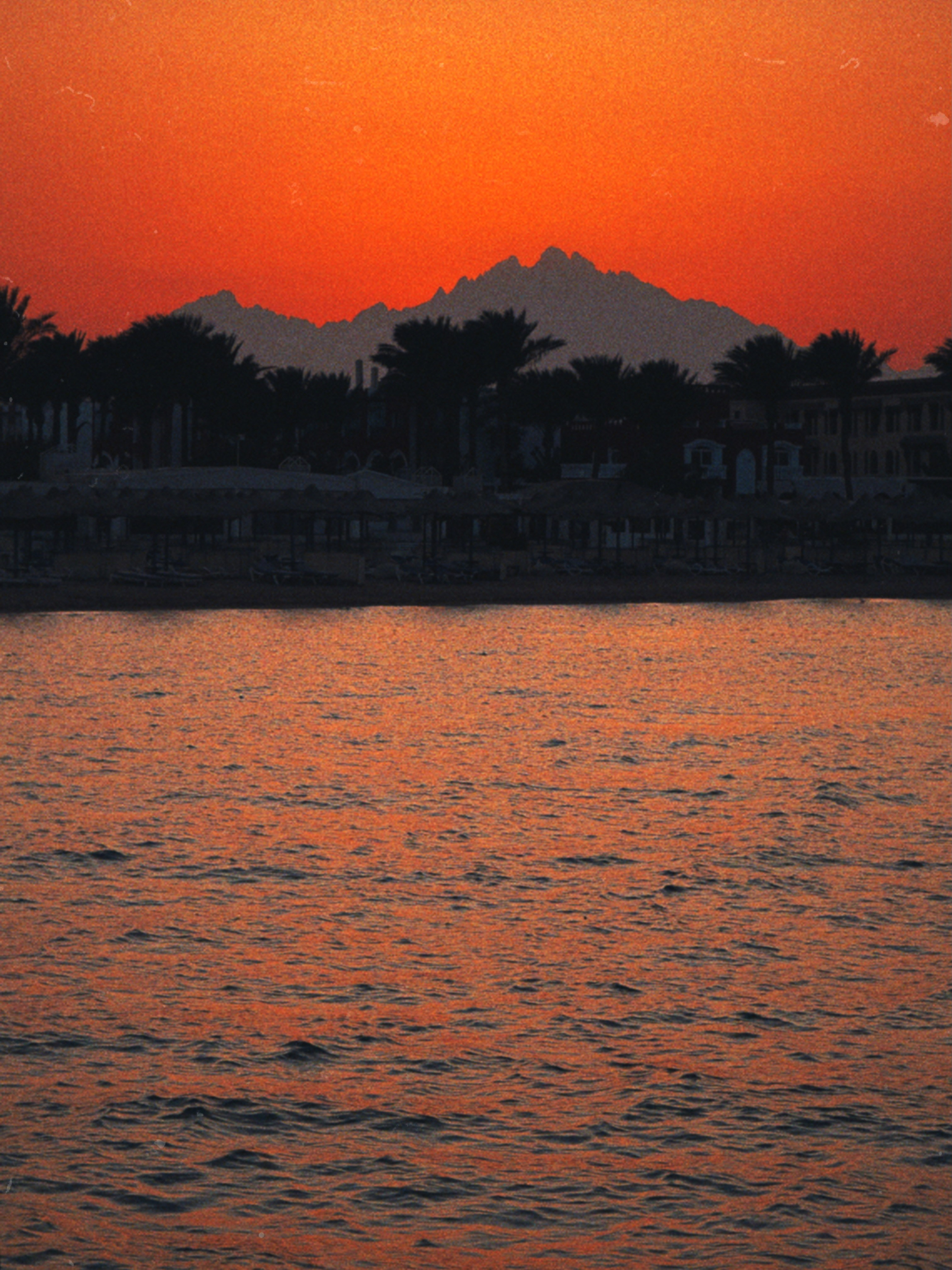 SUN. Виолетта Скрипка