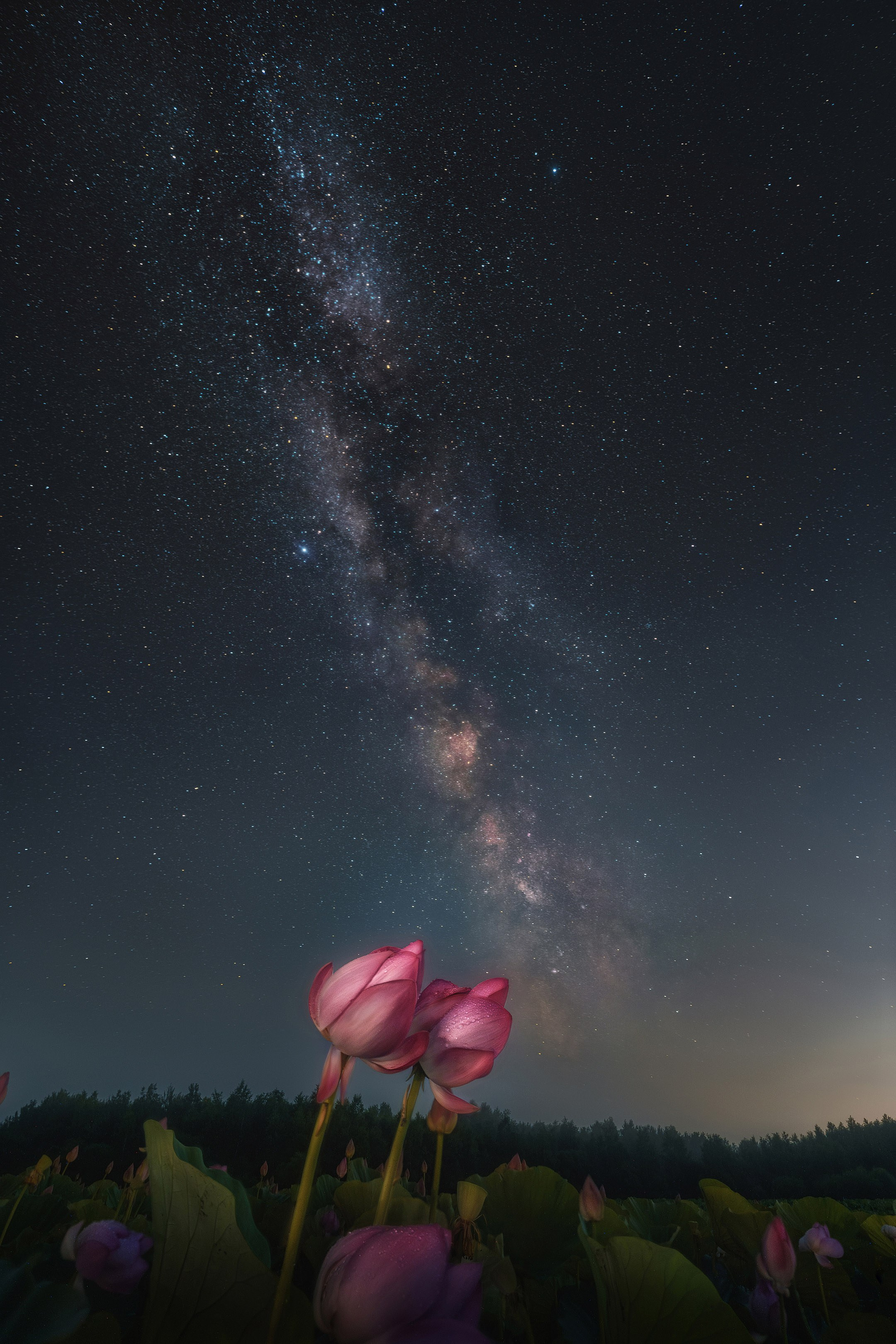 Астройпейзаж. Профессиональный фотограф в Хабаровске Артём Паймуллин