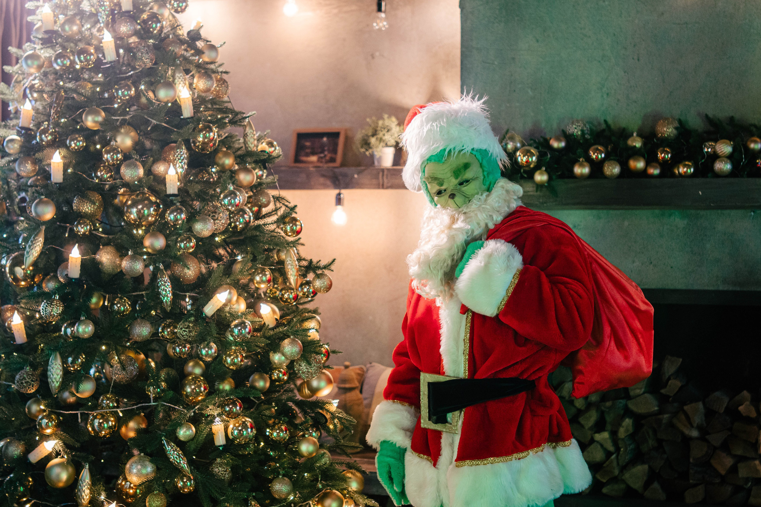 Гринч Circus Zone. Фотограф / видеограф в Москве и Сочи Sofia Riversong