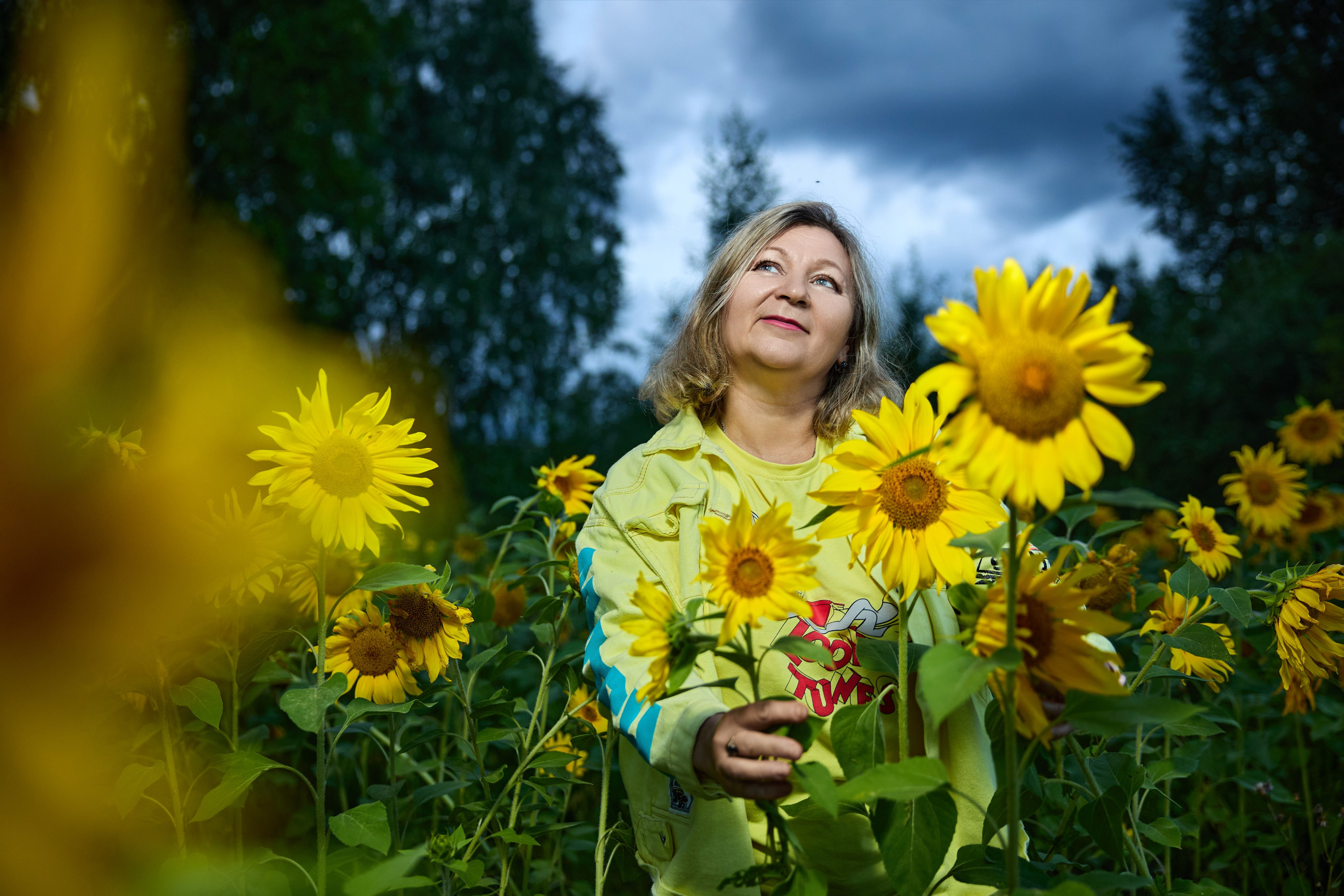 Подсолнухи. Разножанровый Фотограф в Омске Артём Руднев