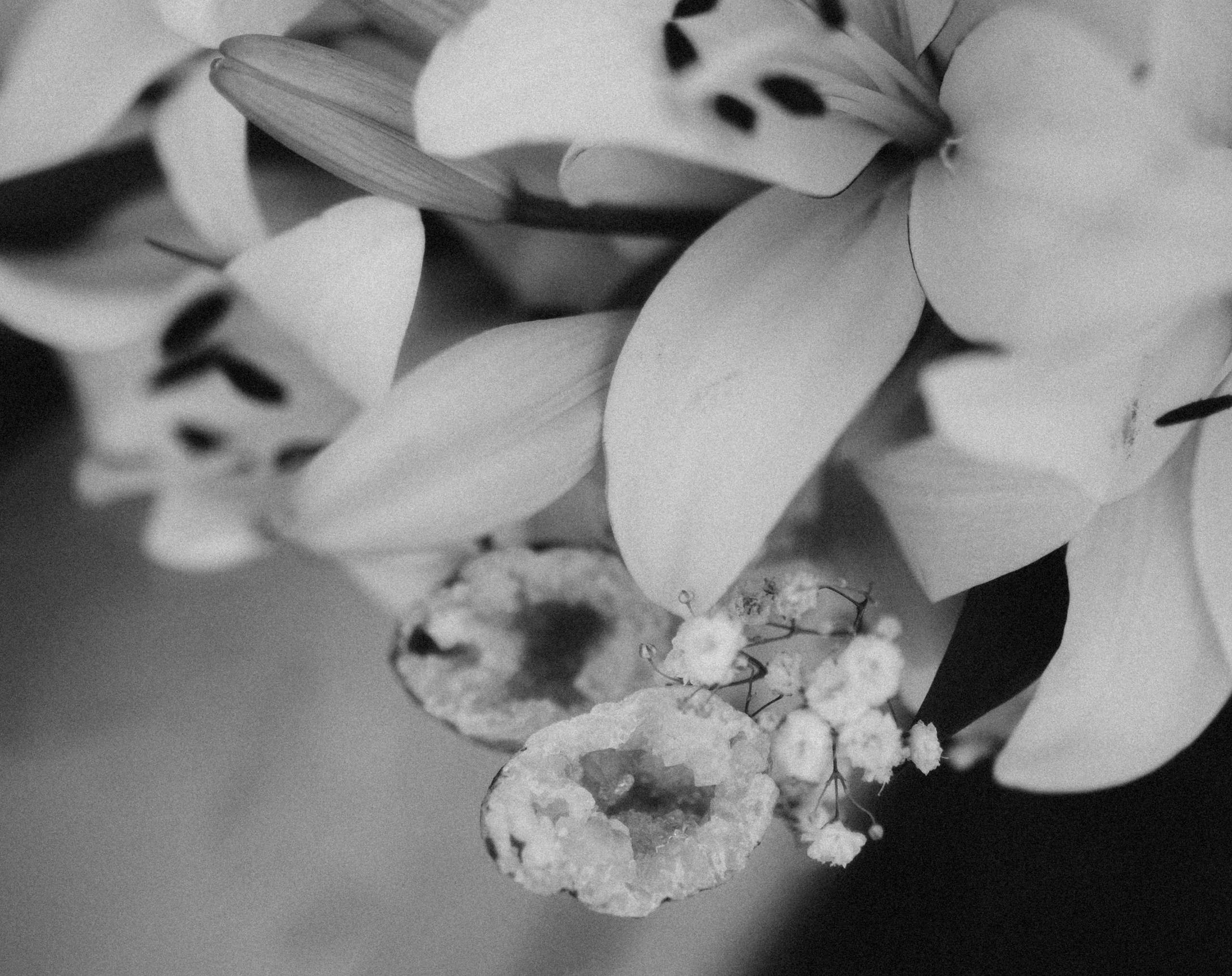 Иван и Яна|Новороссийск. Фотограф Санкт-Петербург, Новороссийск