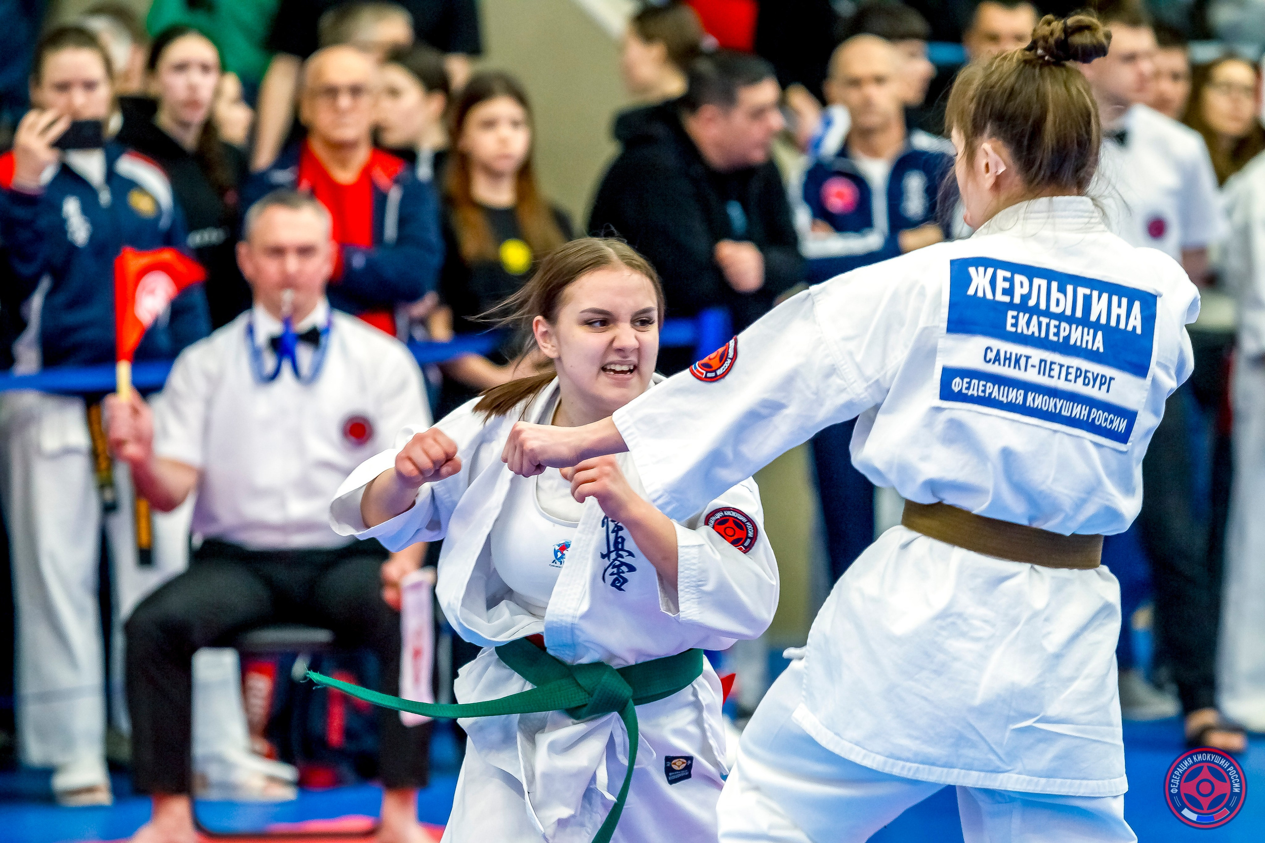 Международный турнир по киокушин «Открытый кубок Seiken». Репортажная съемка в Москве и области. Анималистика