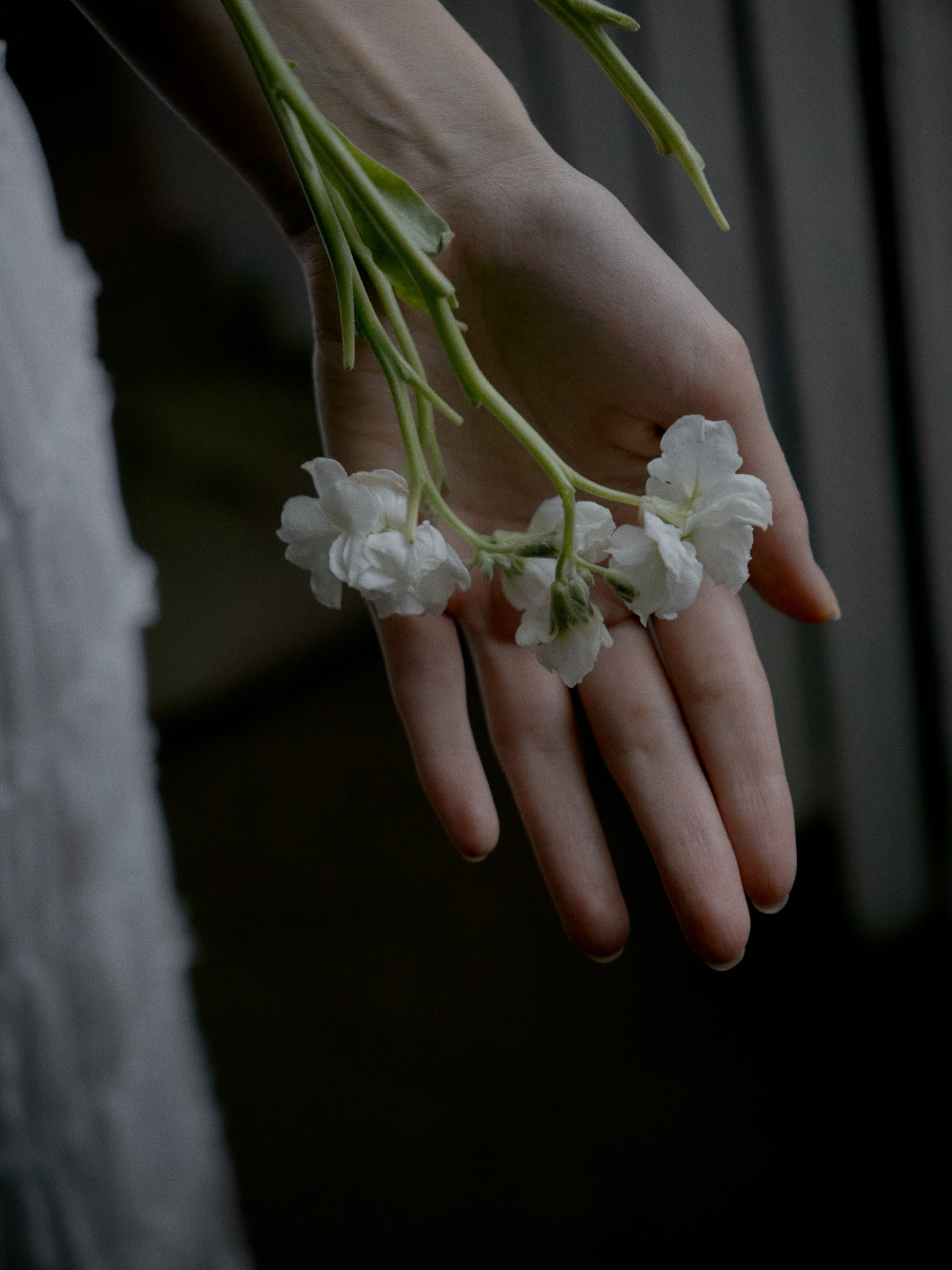 Кадры. Vokueva's-footage