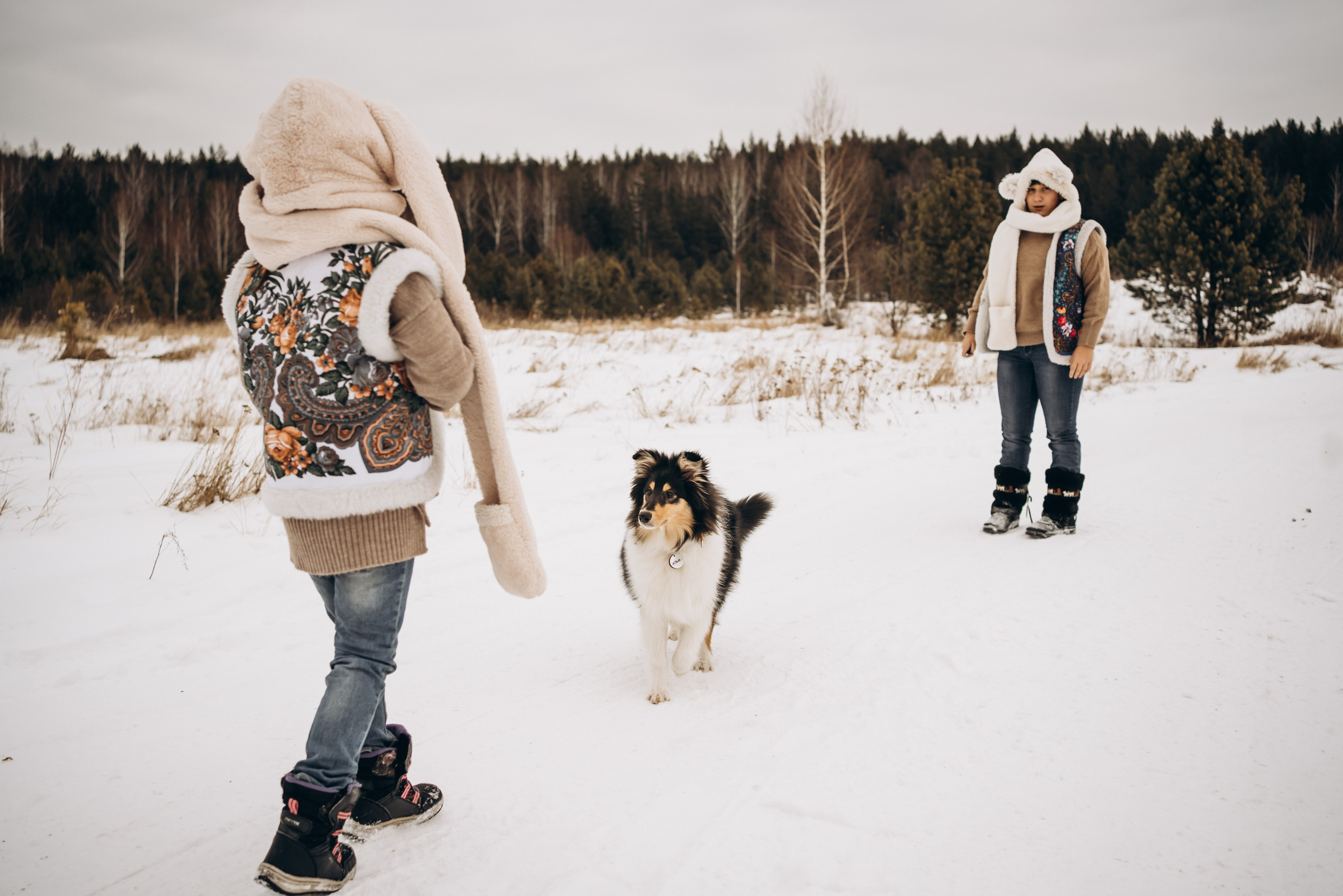 Альма. Фотограф-анималист Анастасия Большакова