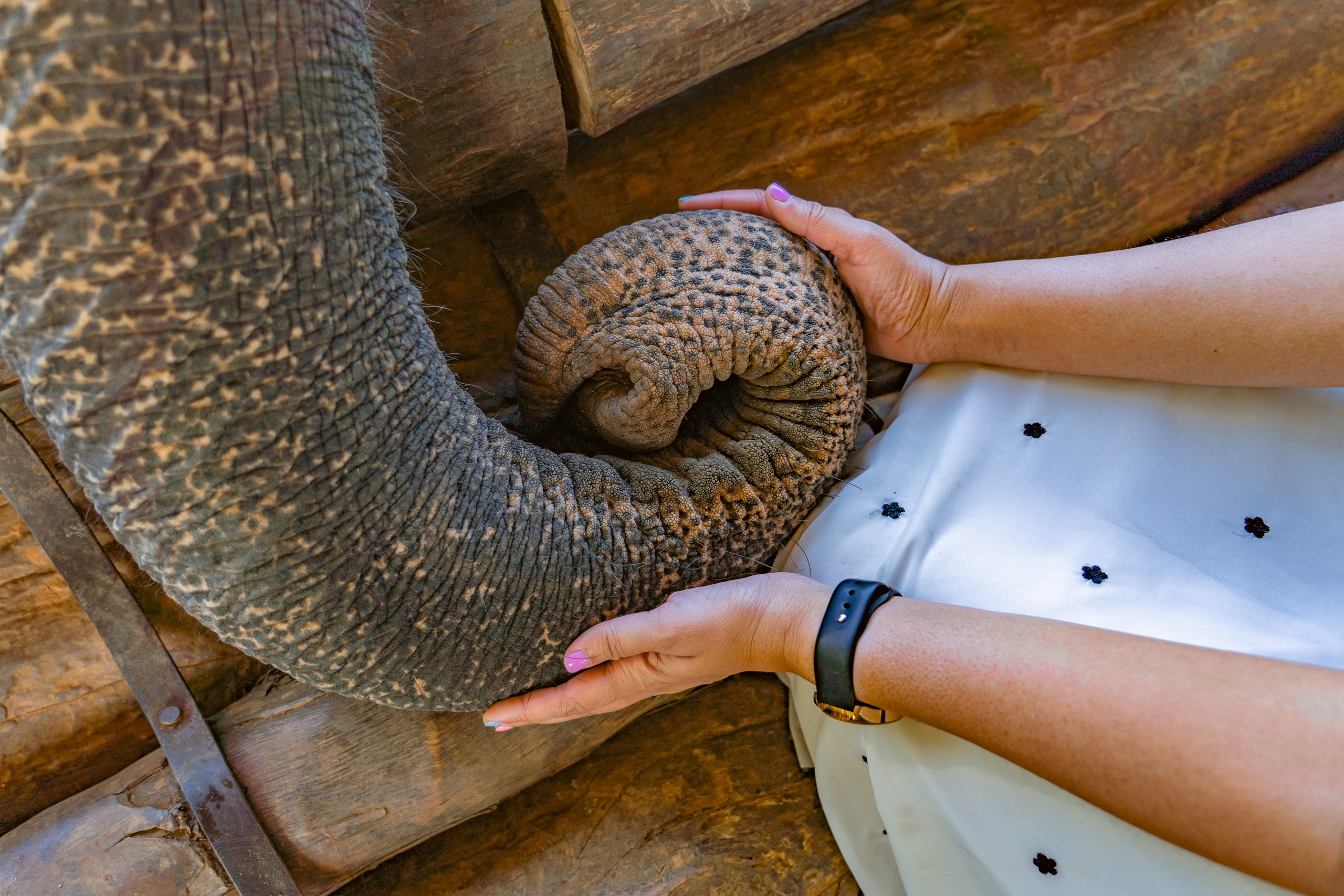 Excursions in Sri Lanka