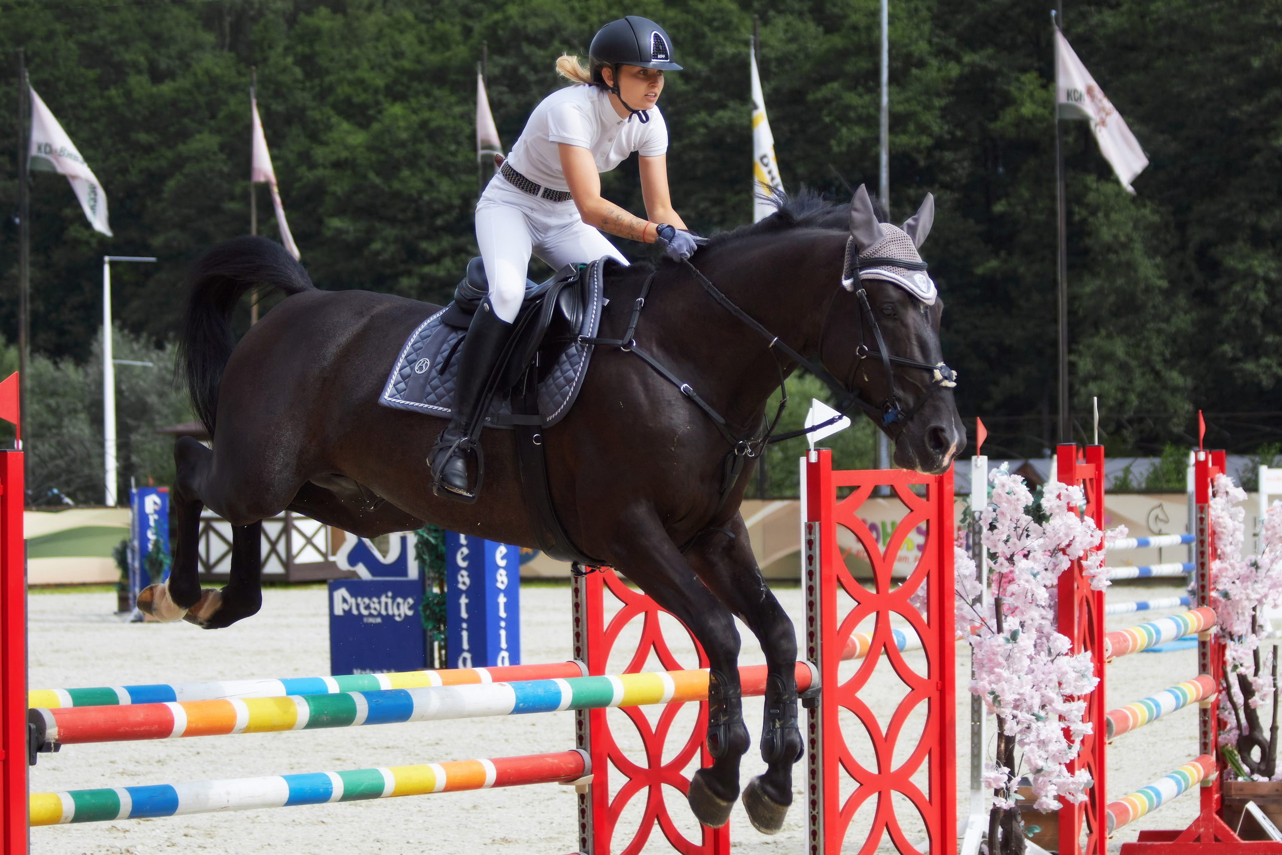 Конкур в «Виват, Россия». Фотограф анималист — Тула, Москва
