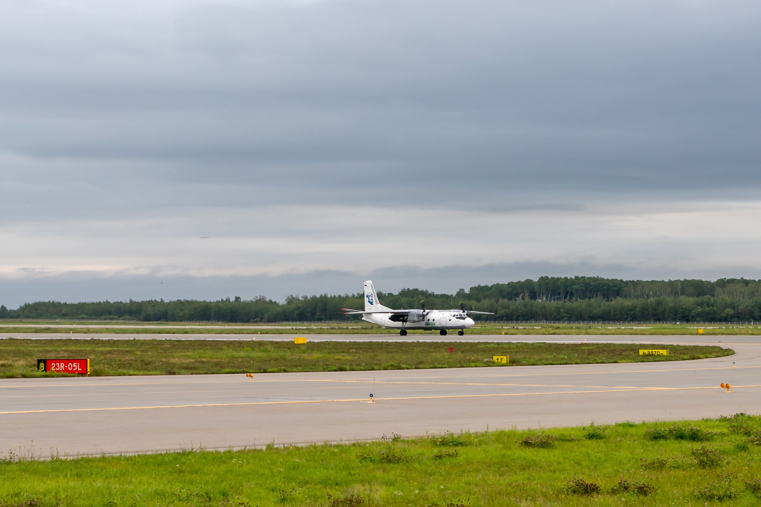 Споттинг 2024. Семейный и детский фотограф в Хабаровске Алевтина Проскурякова