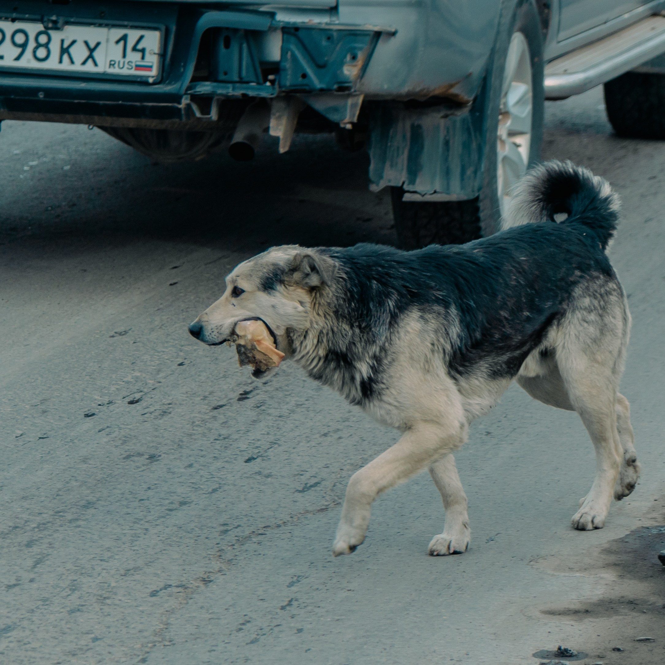 Иркутск и Байкал, Март 2024