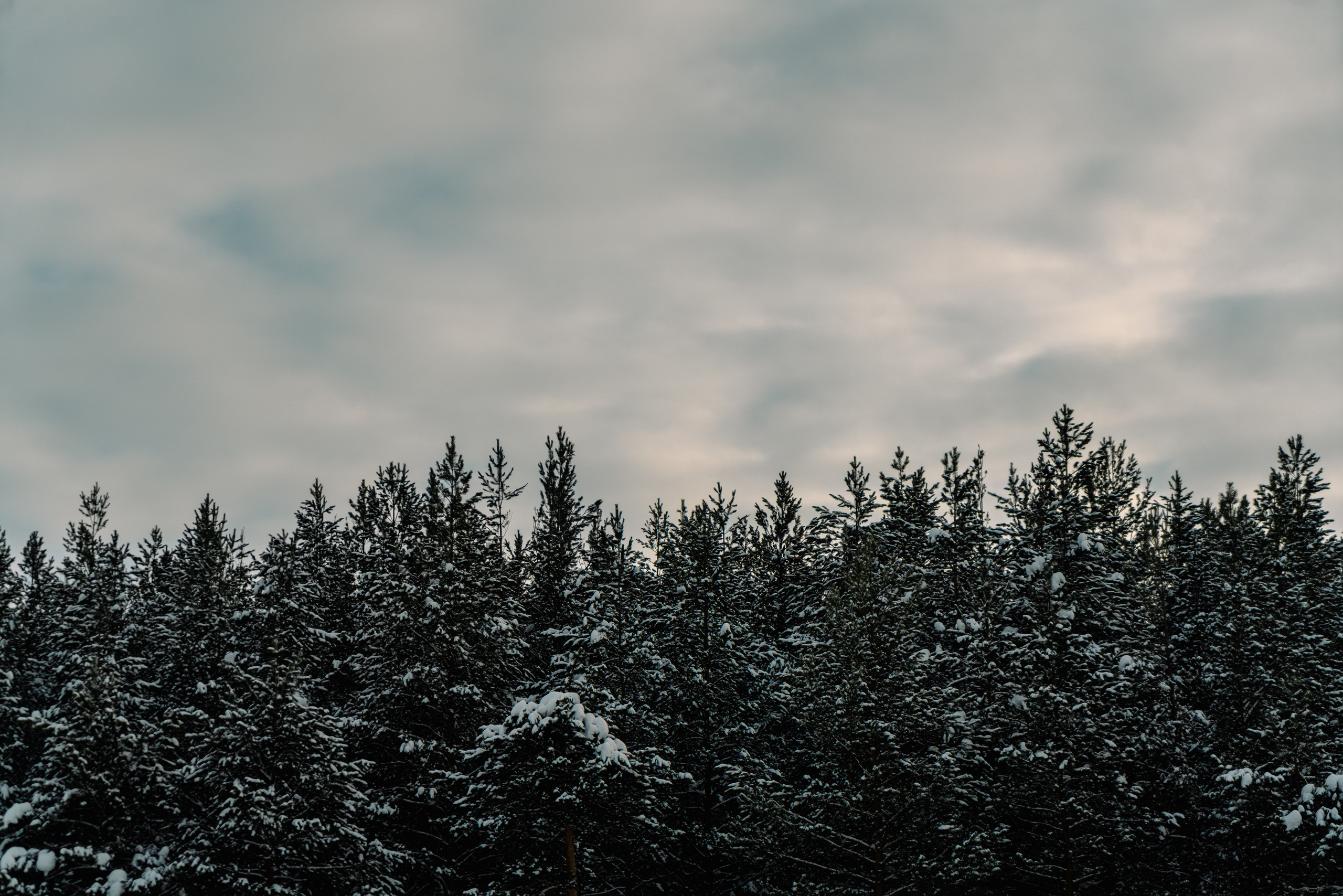 Сургут, Март 2024