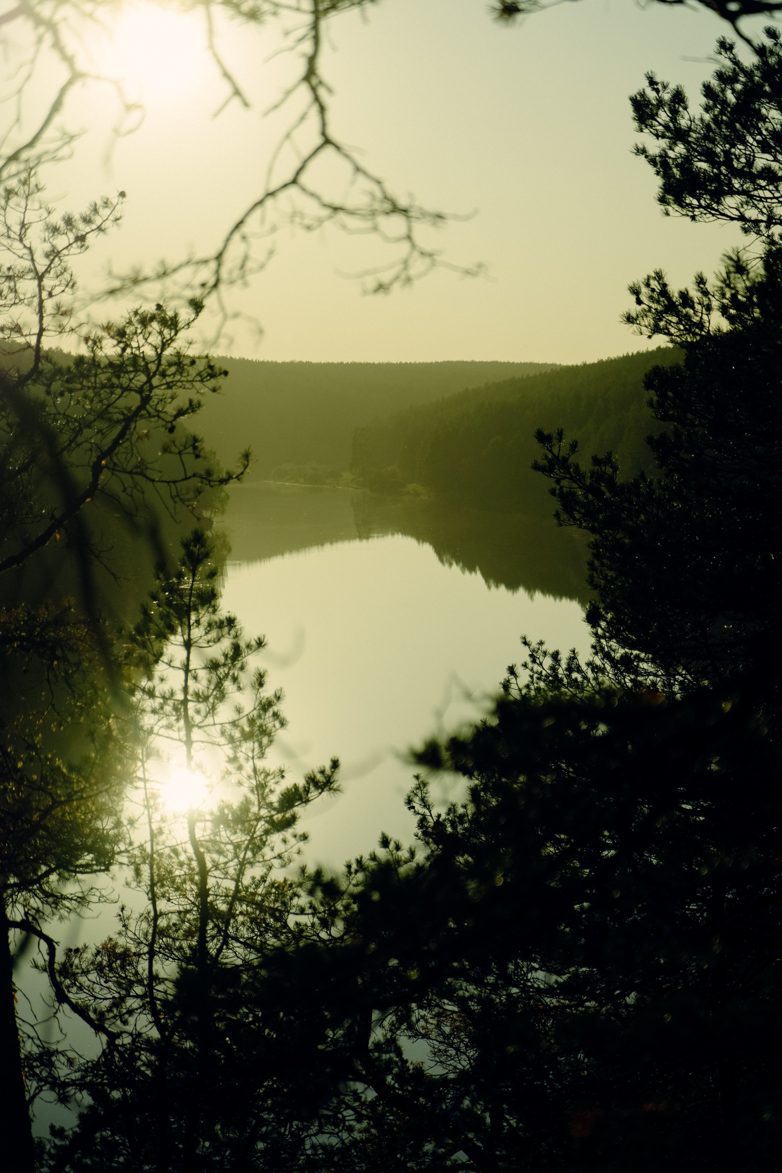 Сухой лог, Сентябрь 2023