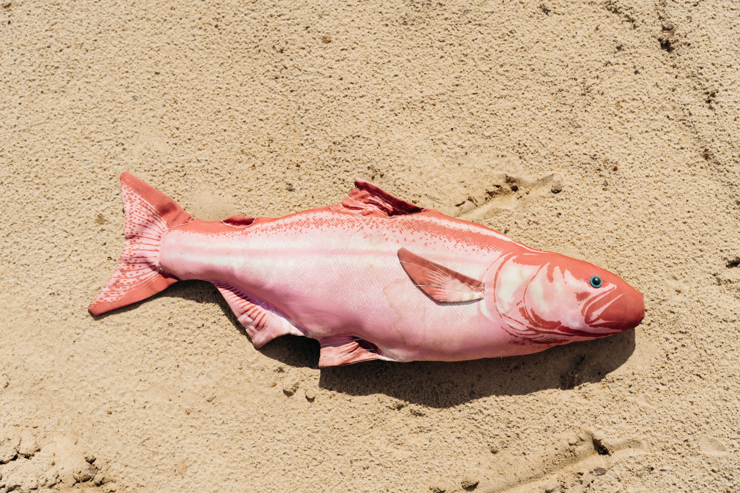 Портретная фотосессия. Семейный и портретный фотограф во Владимире и Суздале