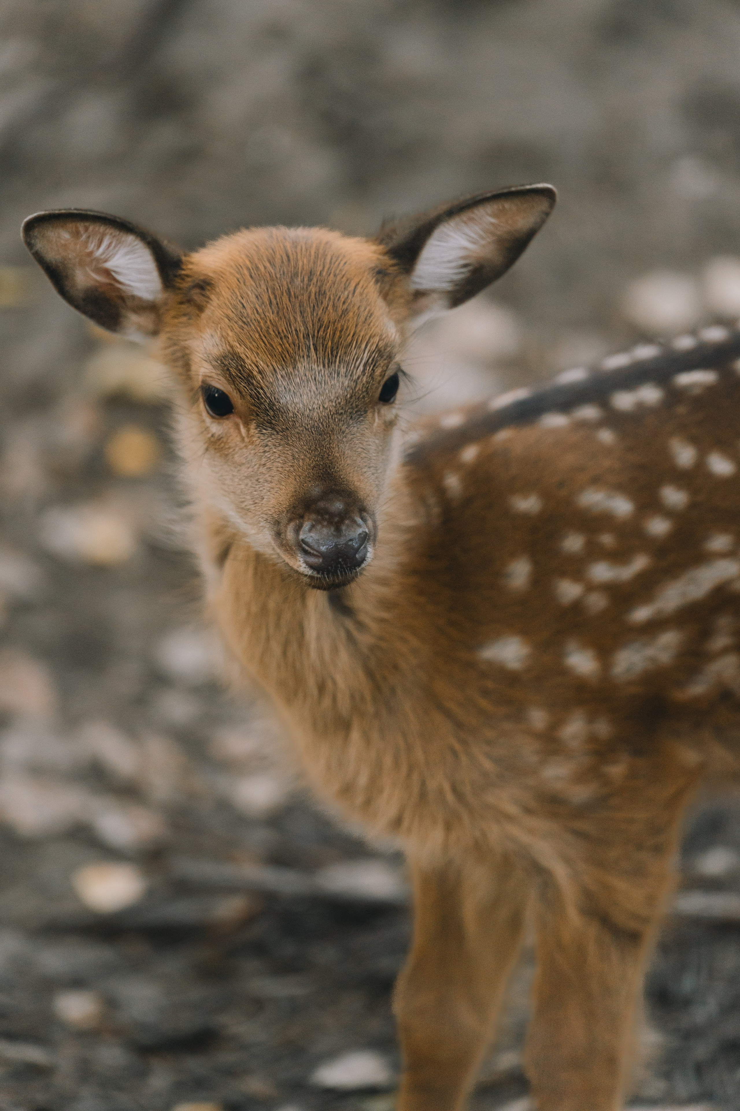 Усть-Каменогорск, Сентябрь 2024