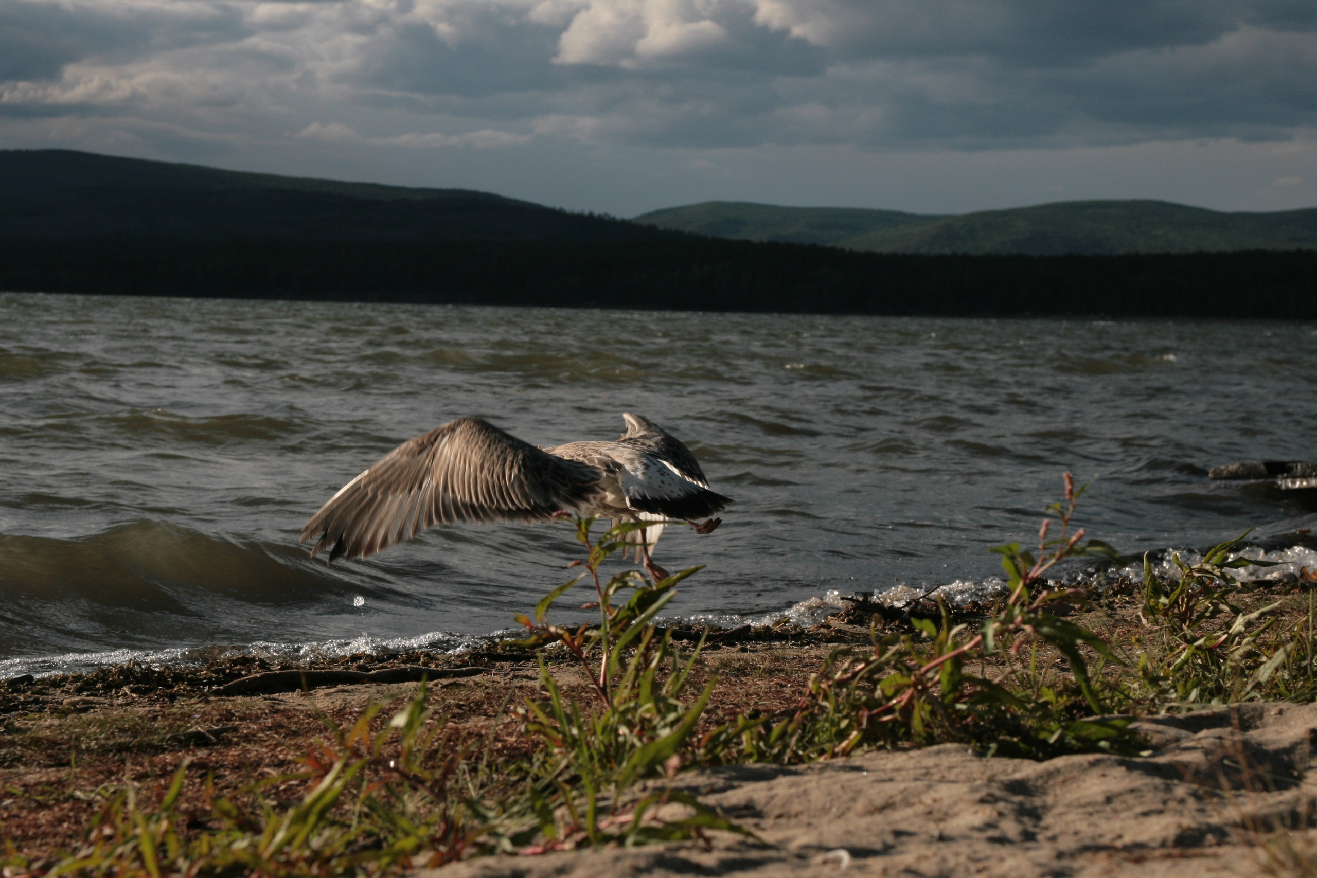 Фото Природы Забайкалья. Студия Максима Белослюдцева
