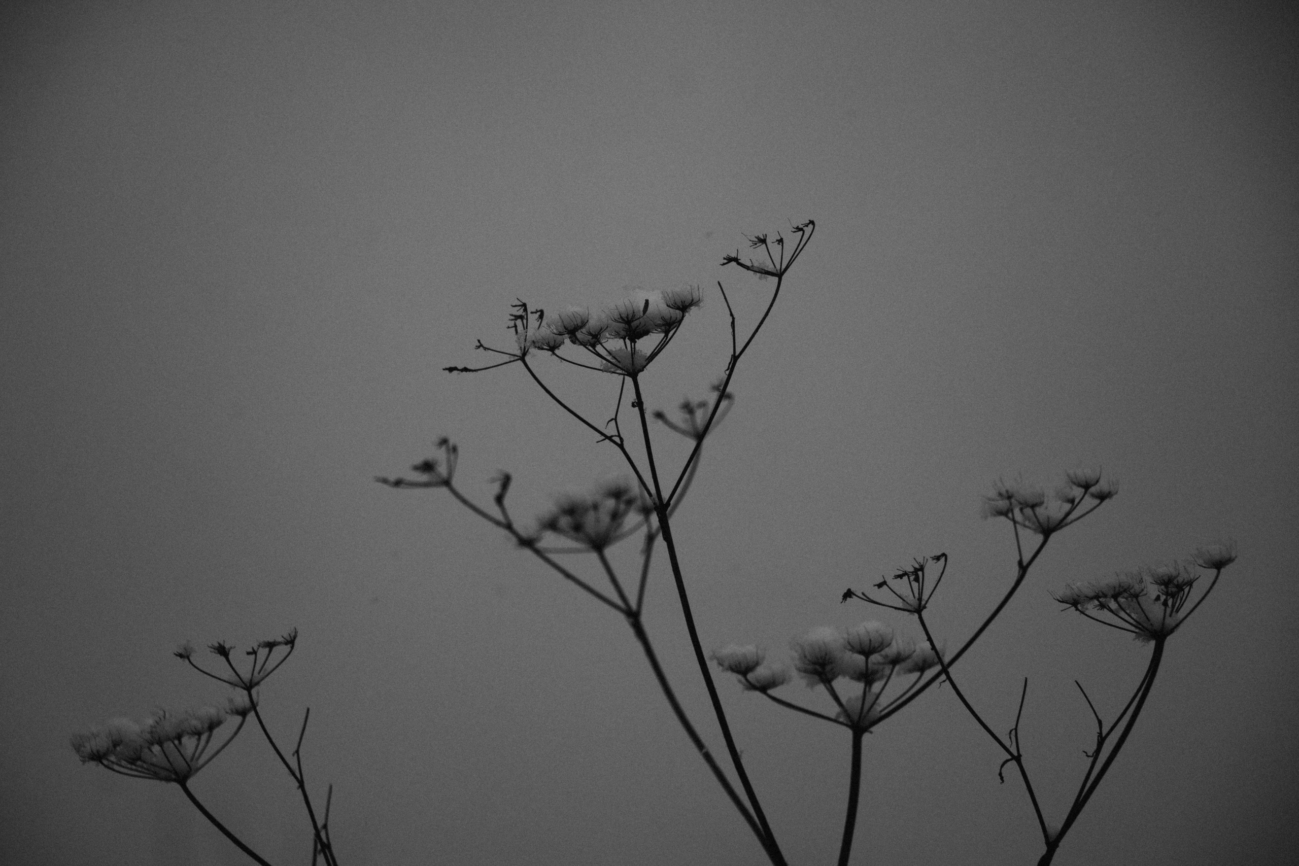 Интимный пейзаж. Олег Романов. Мастер фото по спорту