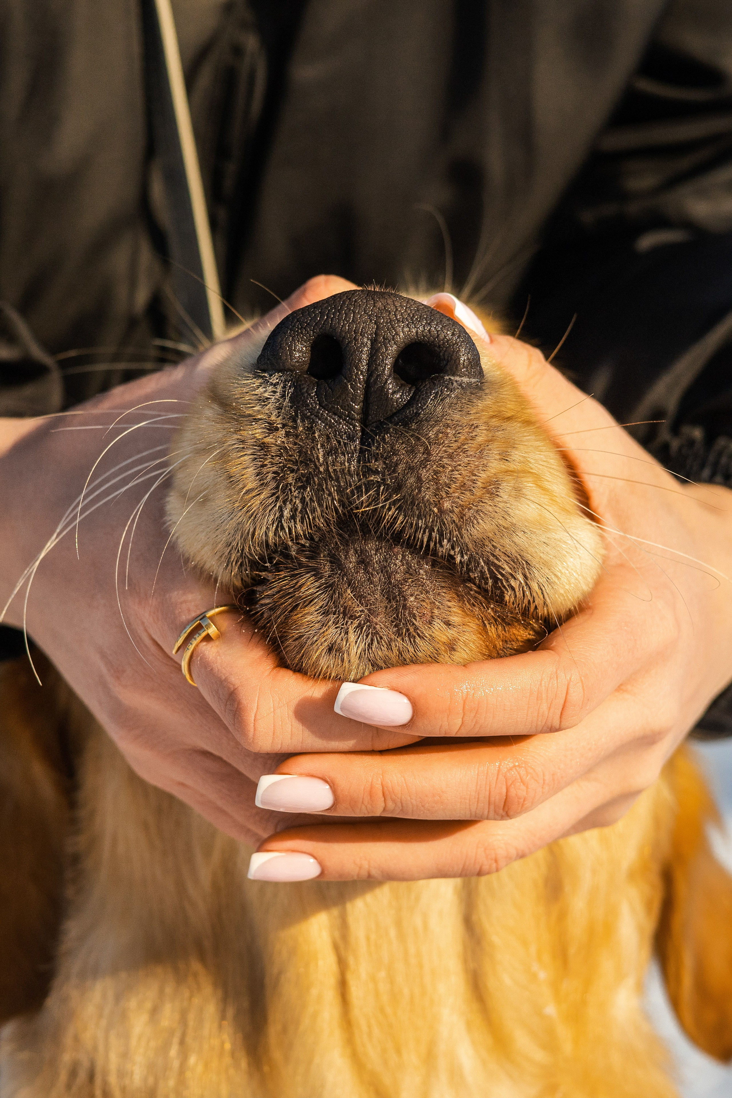 Ларри и его семья. Фотограф-анималист Ксения Шевцова|Москва