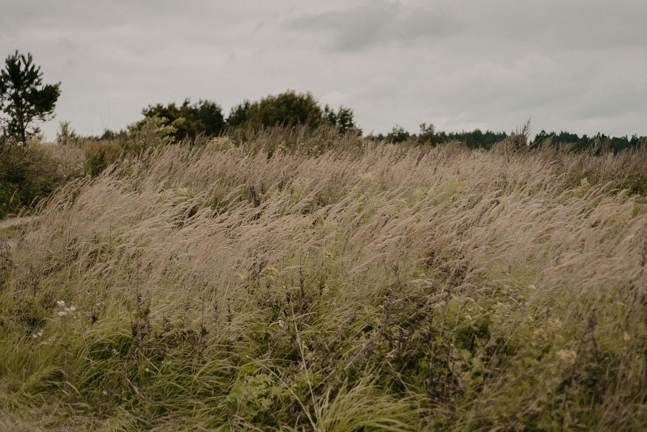 Stas + Lusine. Фотограф/видеомейкер в Минске, Москве, Витебске, видеосьемка