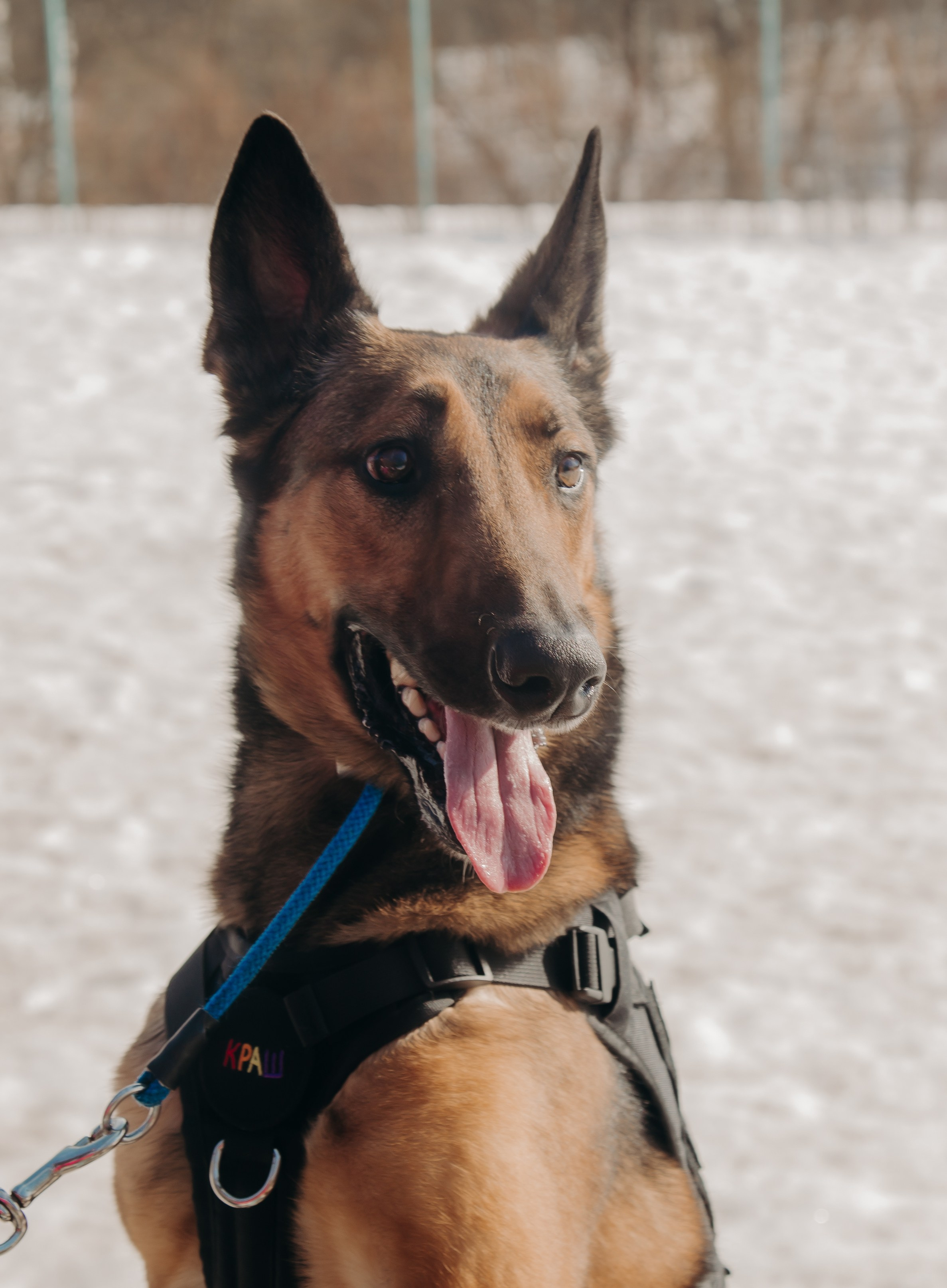 Тренировка с киноголом. Фотограф вашей улыбки. Москва