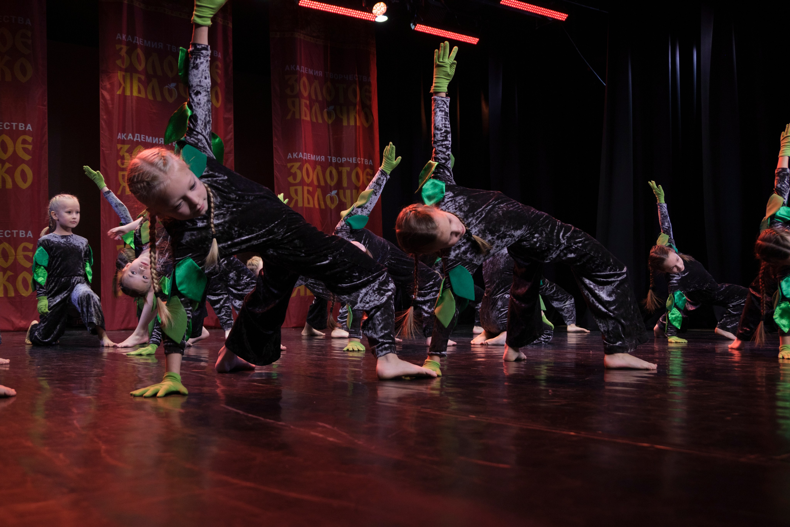 17 ноября, г. Великий Устюг. Золотое яблочко