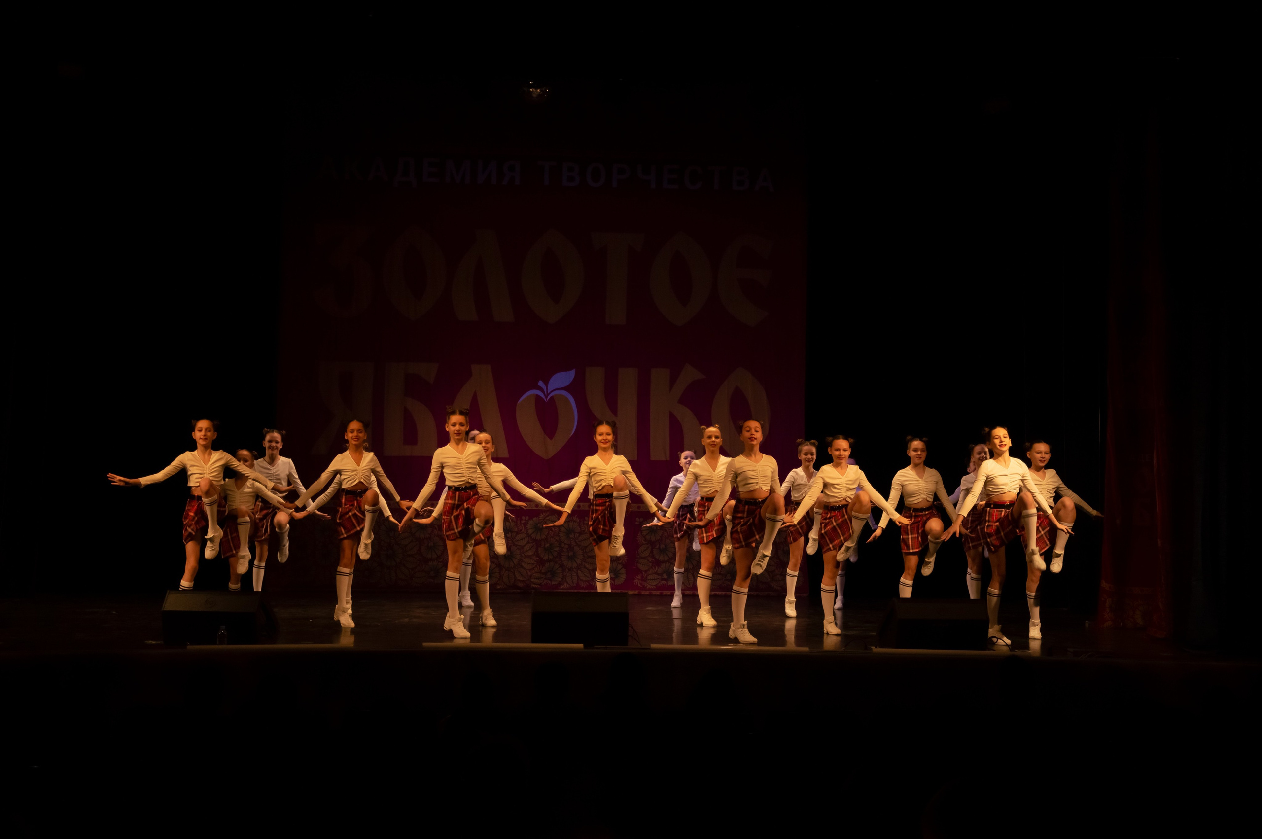 15 февраля, г. Калининград. Золотое яблочко