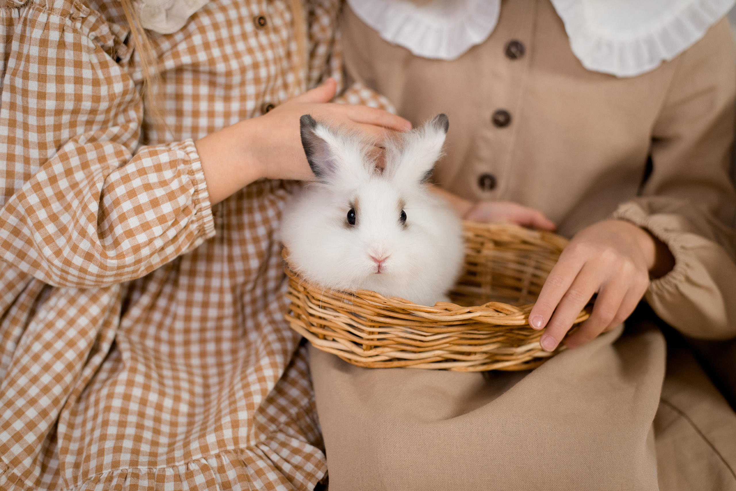 Новогодняя фотосессия мамы с дочками в фотостудии. Детский и семейный фотограф в Йошкар-Оле Светлана Кропочева
