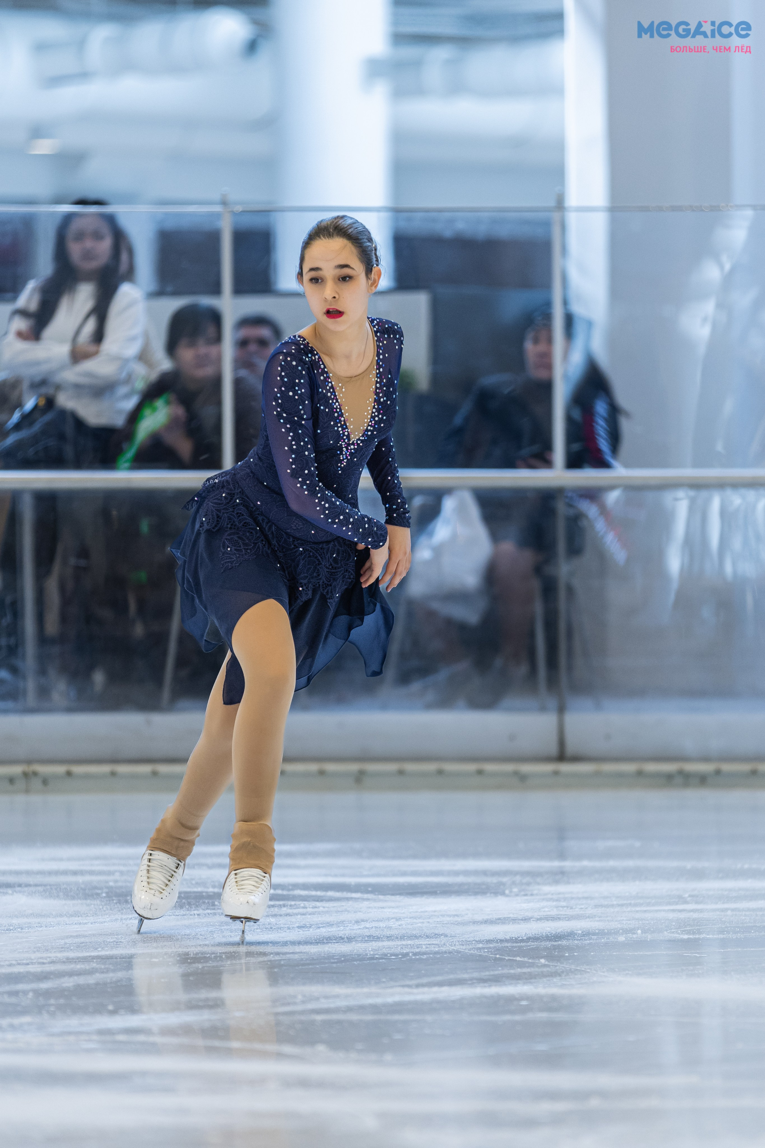 MEGAICE показательные выступления. Фотограф в Москве портреты | репортажи | спорт