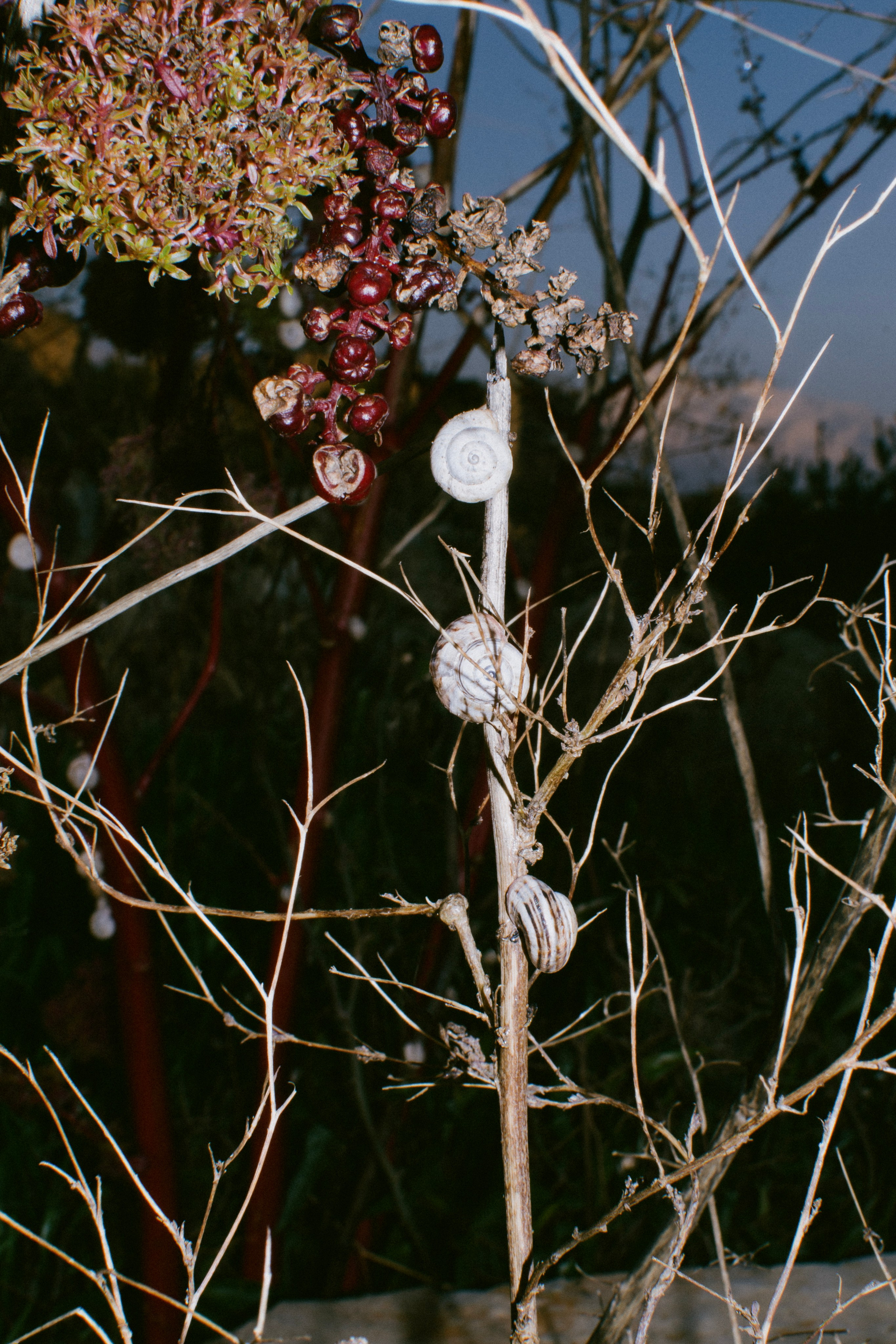 ANTALYA. Маргарита Логай. Фотограф и режиссер в Санкт-Петербурге, Москве, Сочи