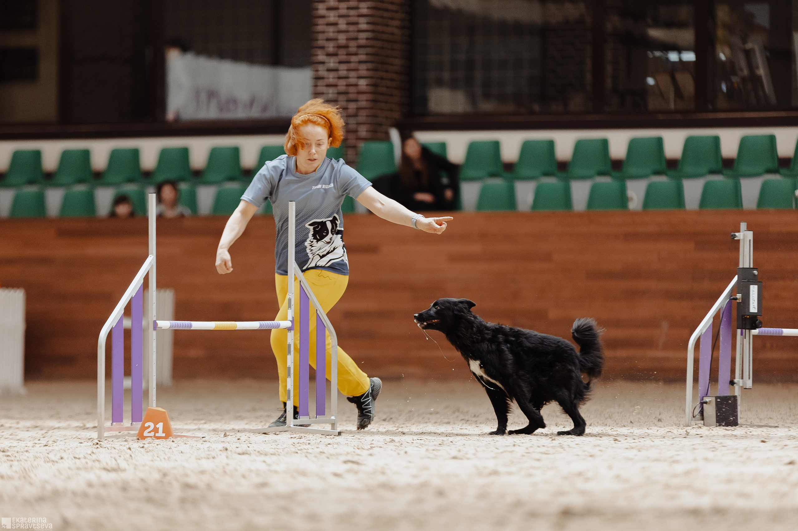 ЧРКФ Аджилити в Максима. Фотограф Анималист Екатерина Справцева в Нижнем Новгороде