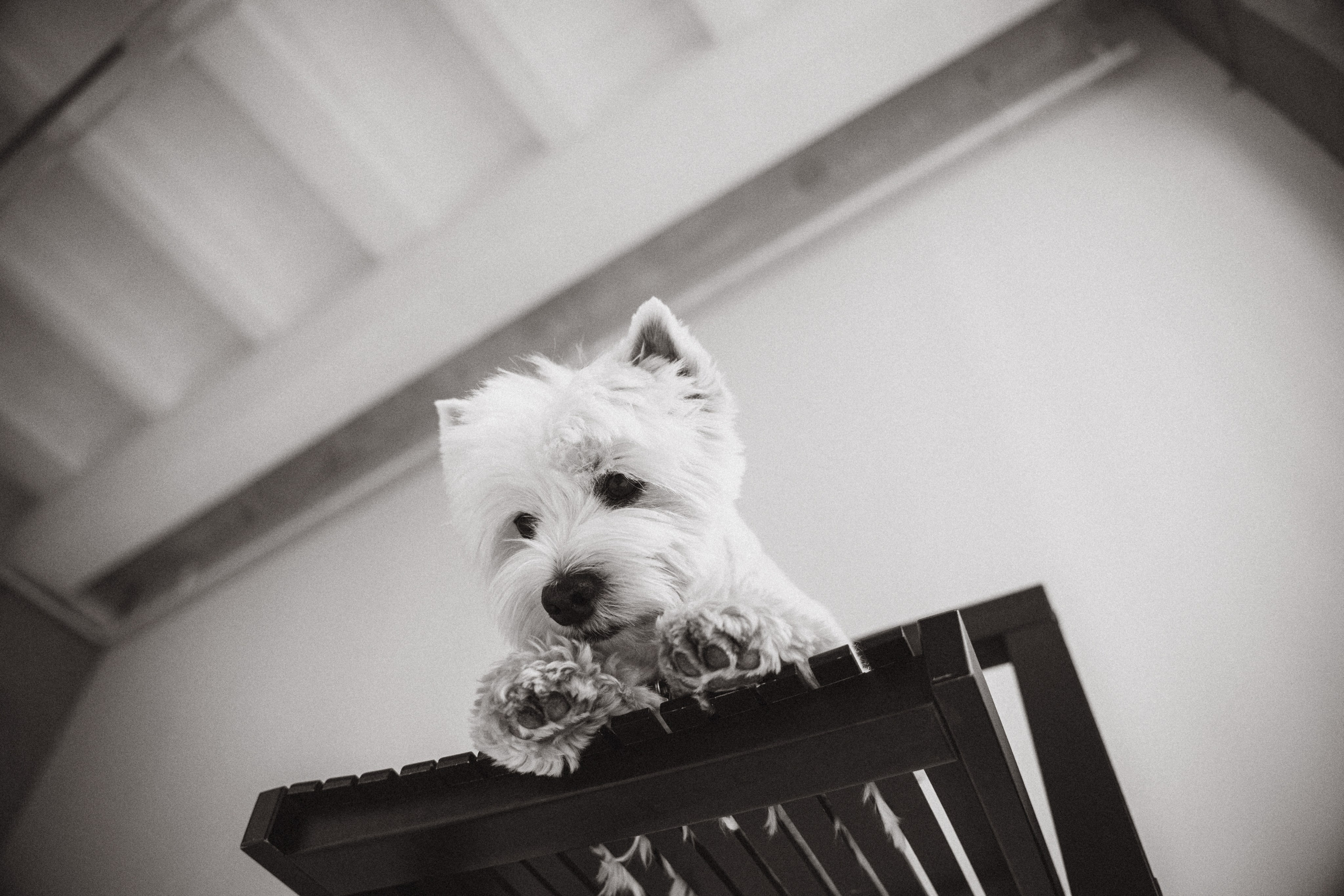 Вера и Бакс