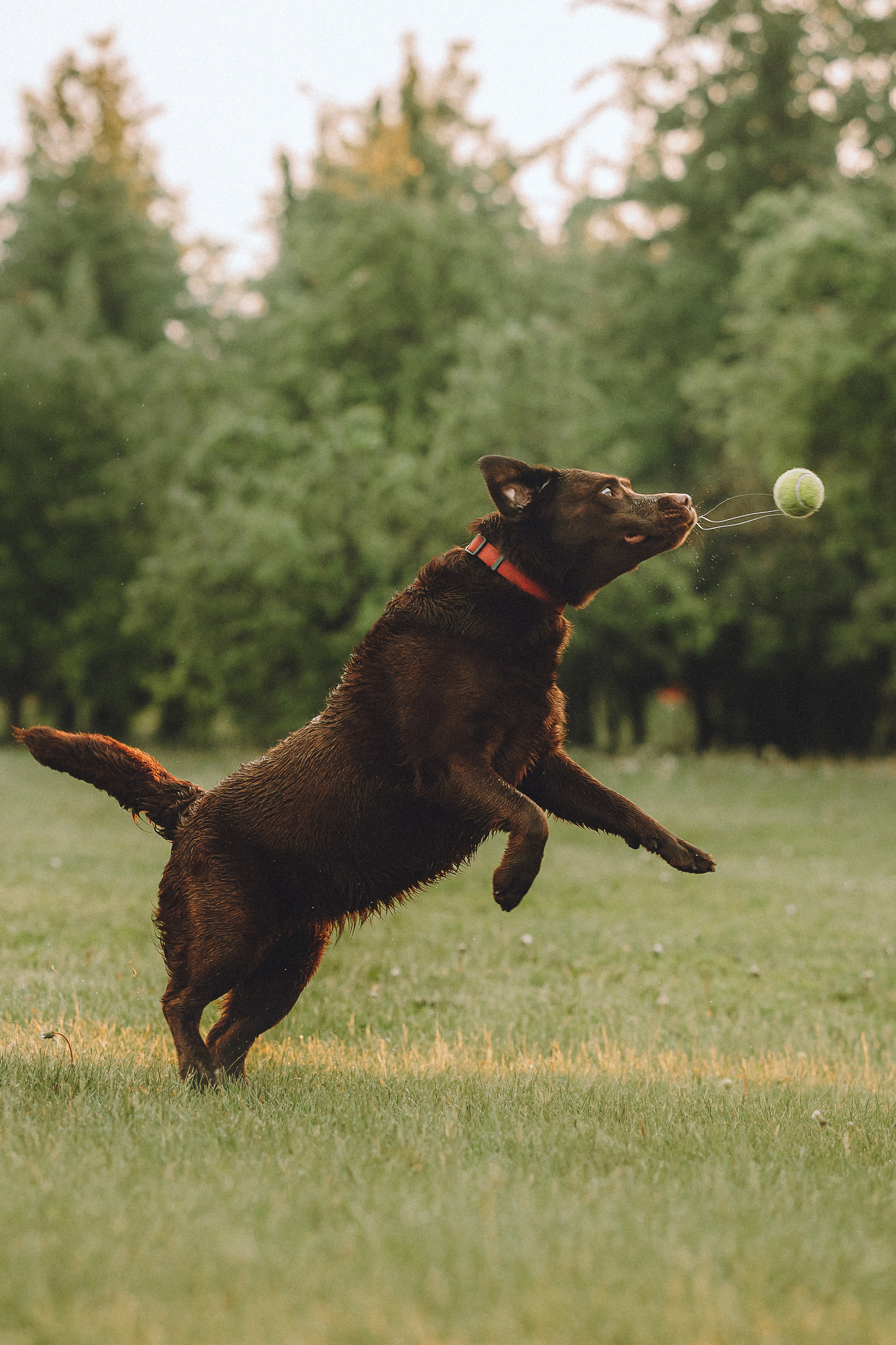 Катя, Ваня и Джеси