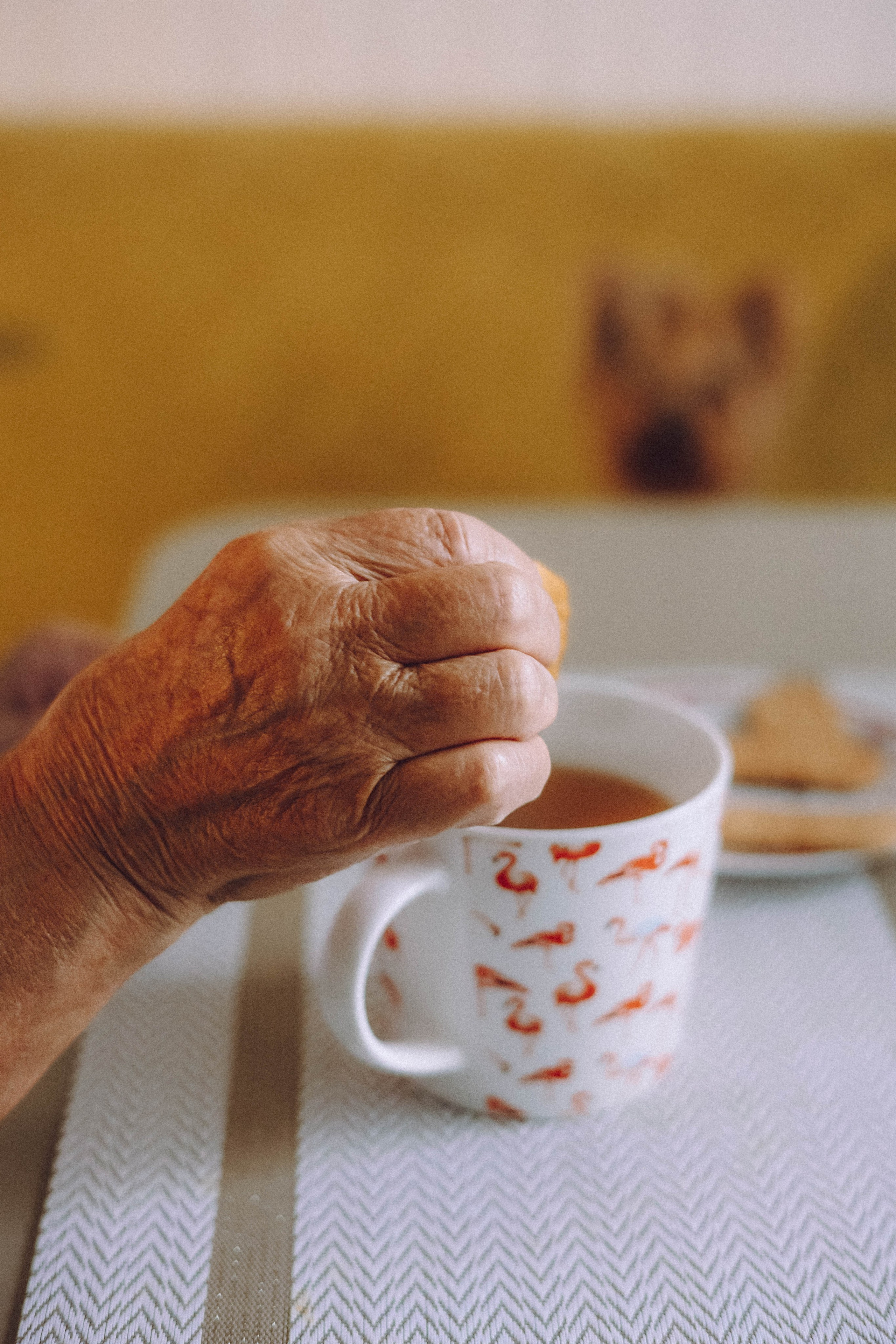 Дэзи и ее семья