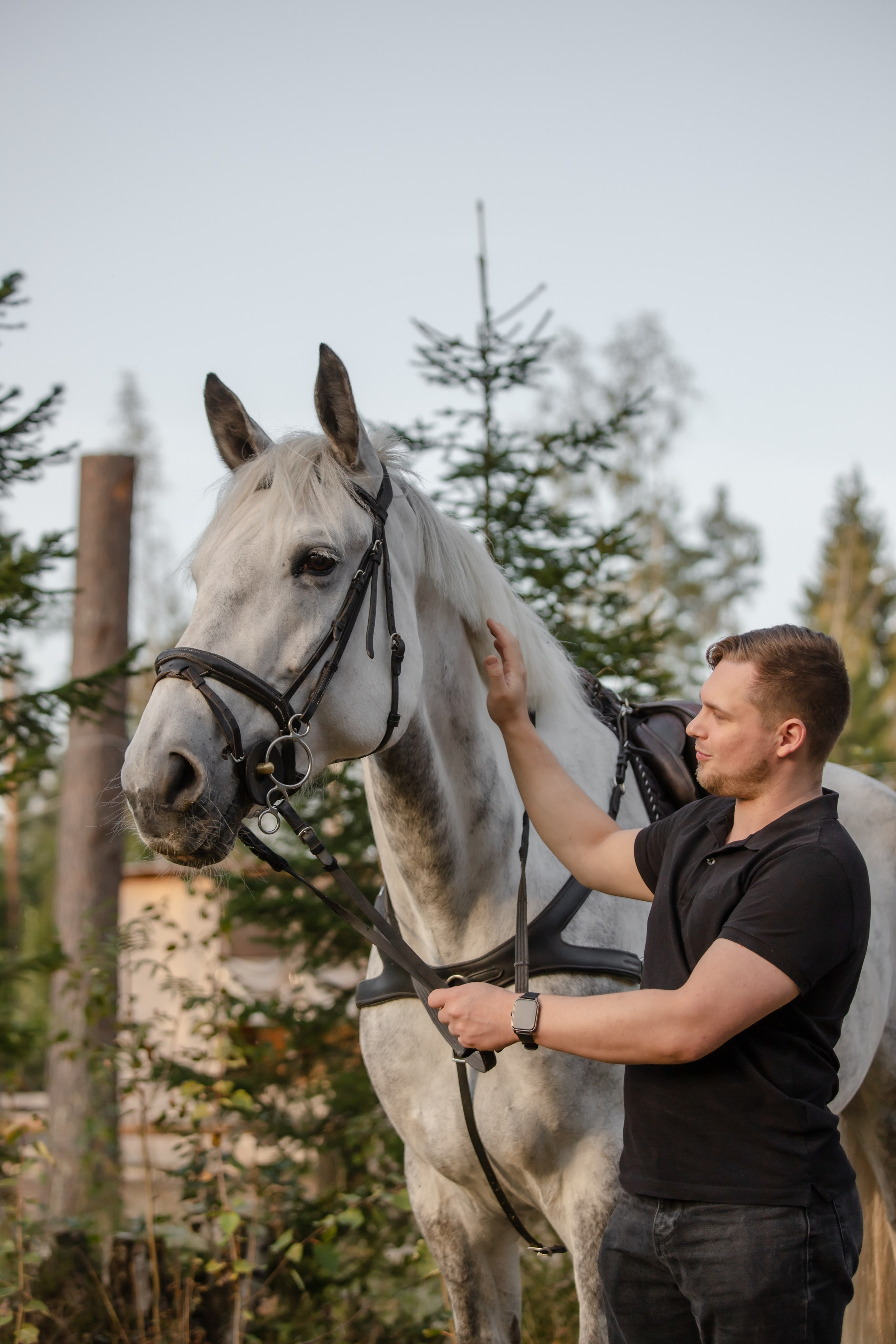 Фотопрогулки с Рич Бич. Конный фотограф в Санкт-Петербурге Анна Лебедева