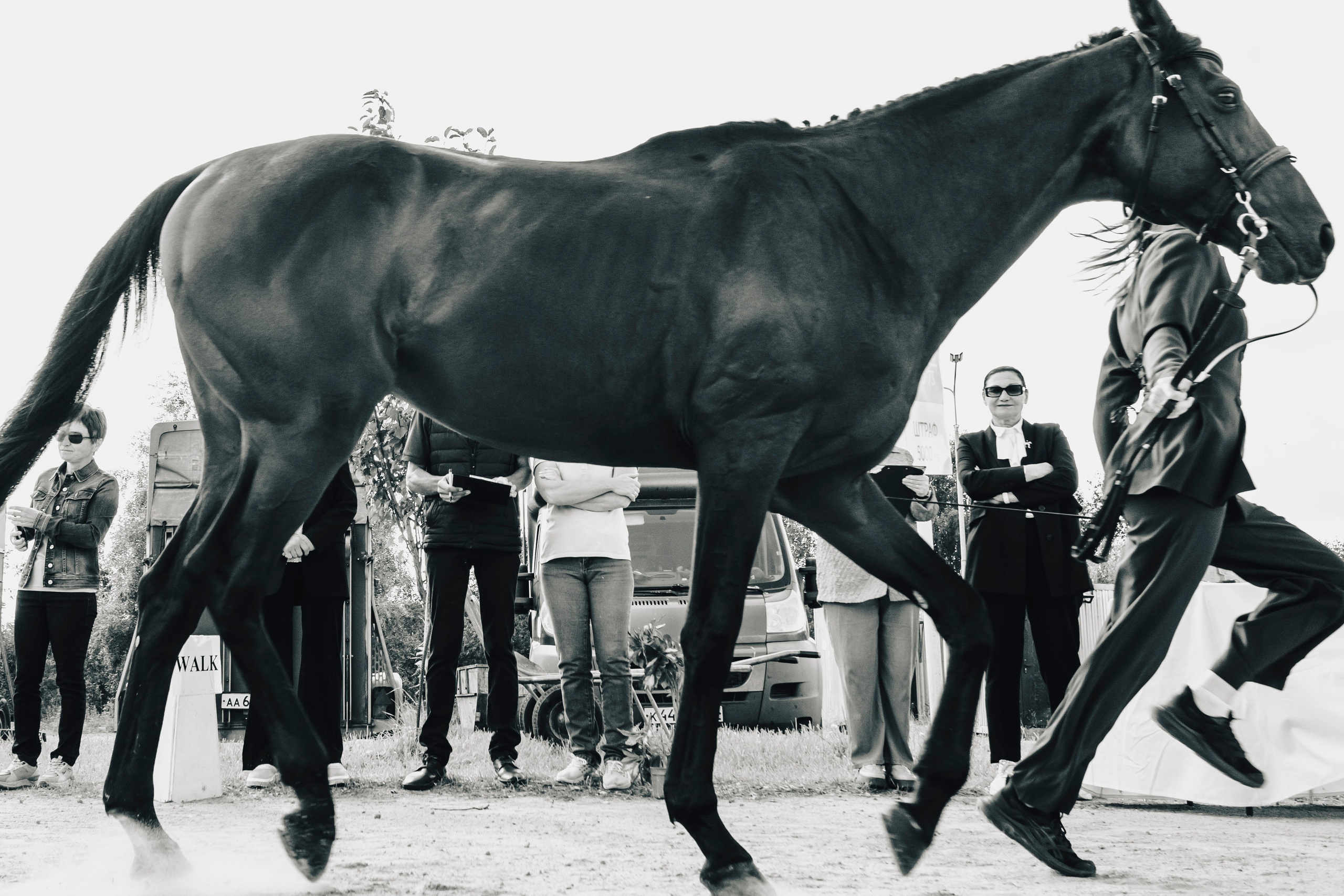 Фотографии с турниров. Конный фотограф Дарья Полянина